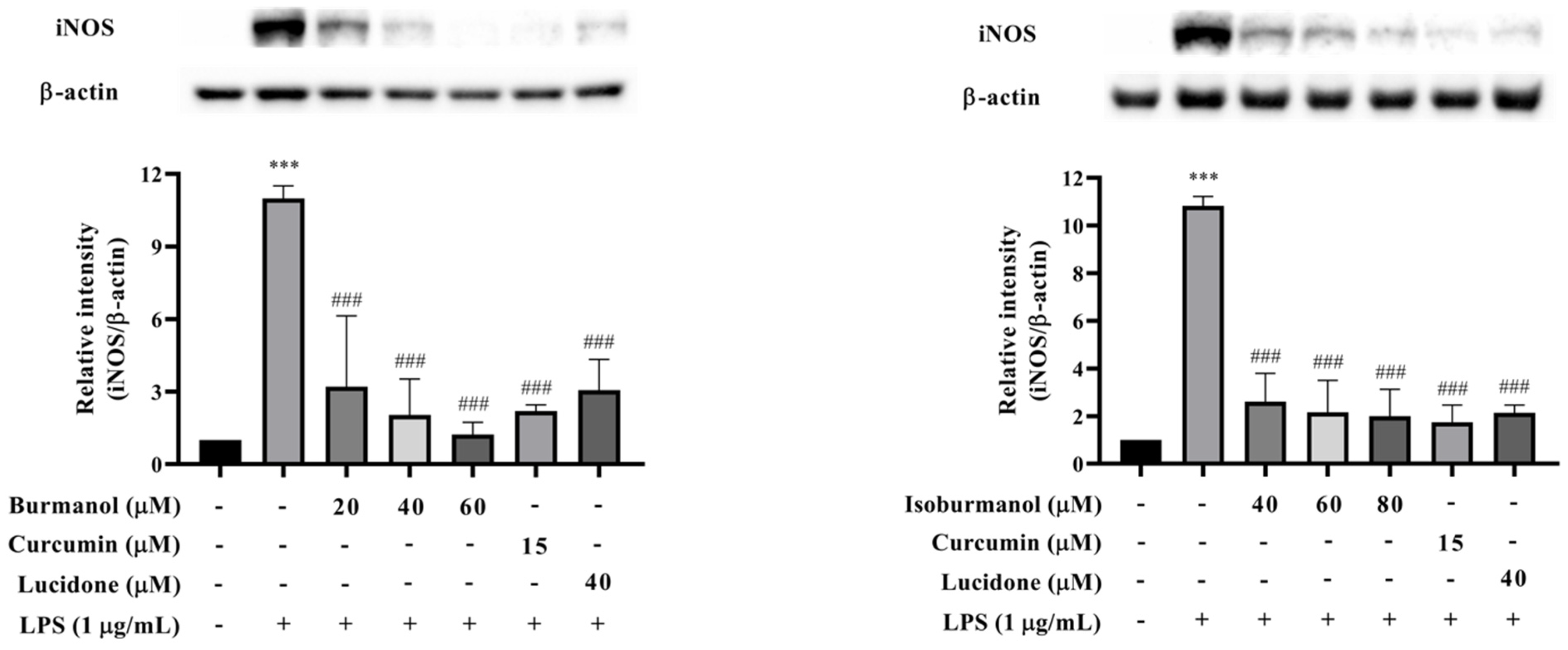 Plants 11 03252 g007