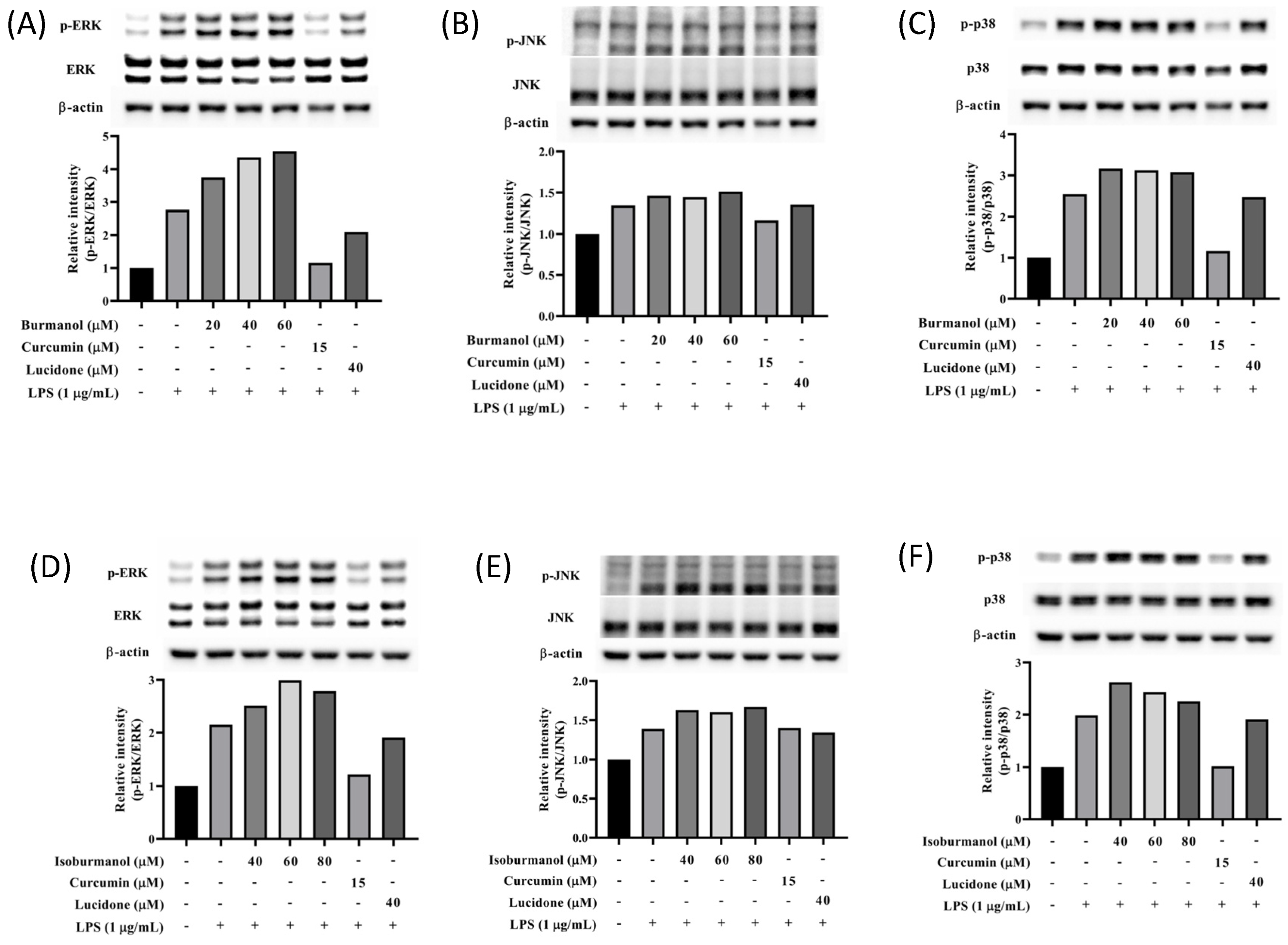Plants 11 03252 g010