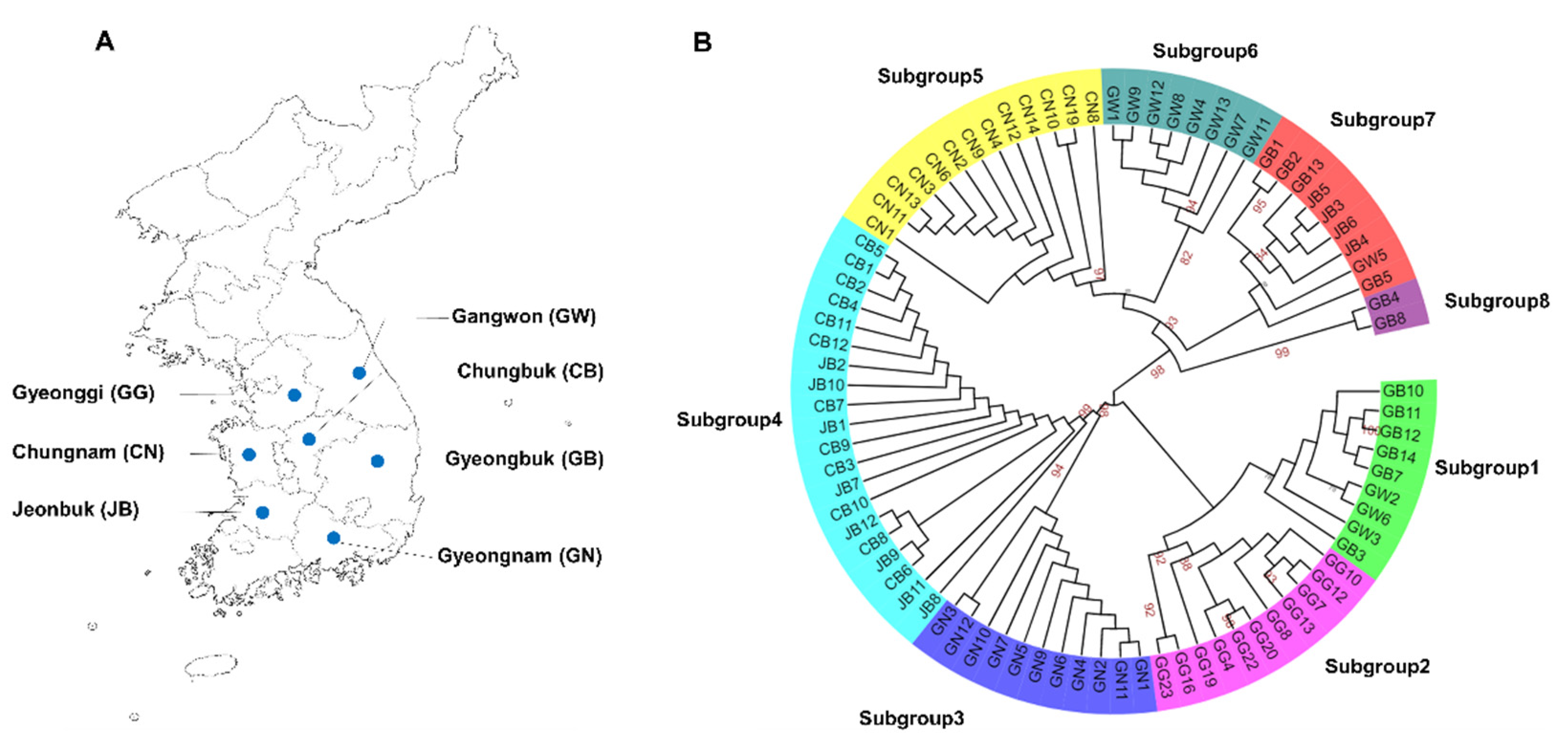Plants 11 03256 g001 Plants 11 03256 g001