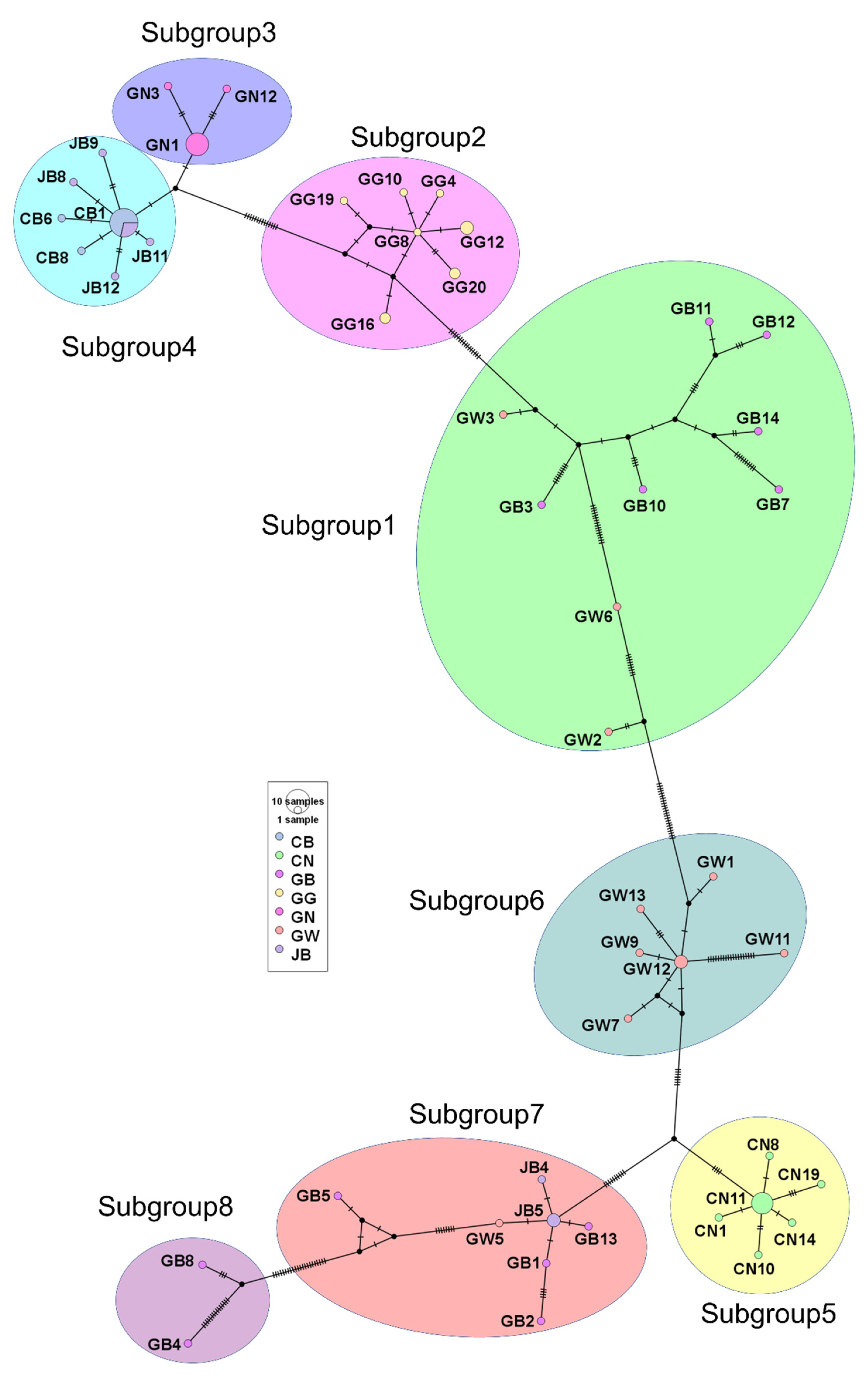 Plants 11 03256 g003 Plants 11 03256 g003