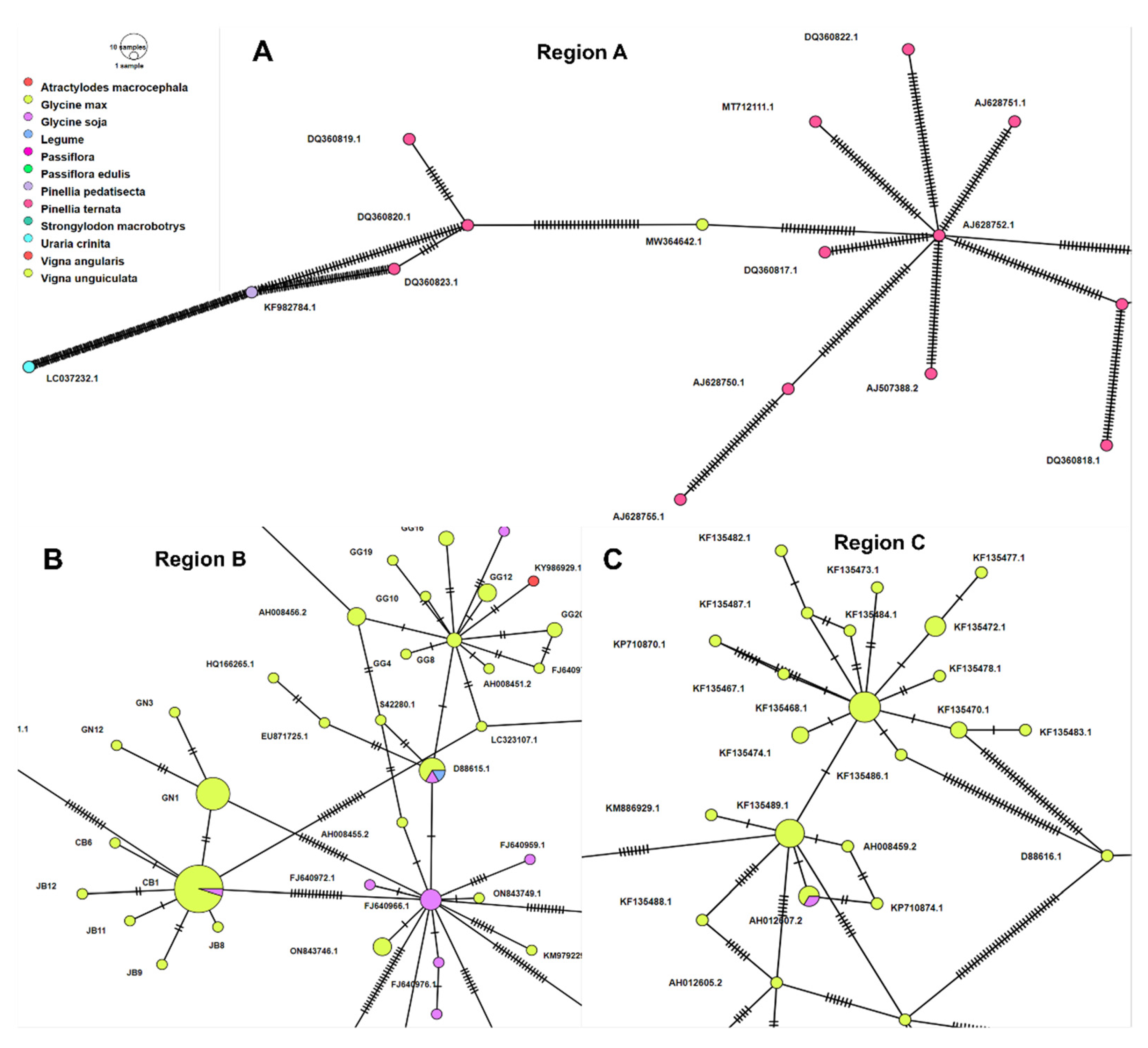 Plants 11 03256 g009 Plants 11 03256 g009