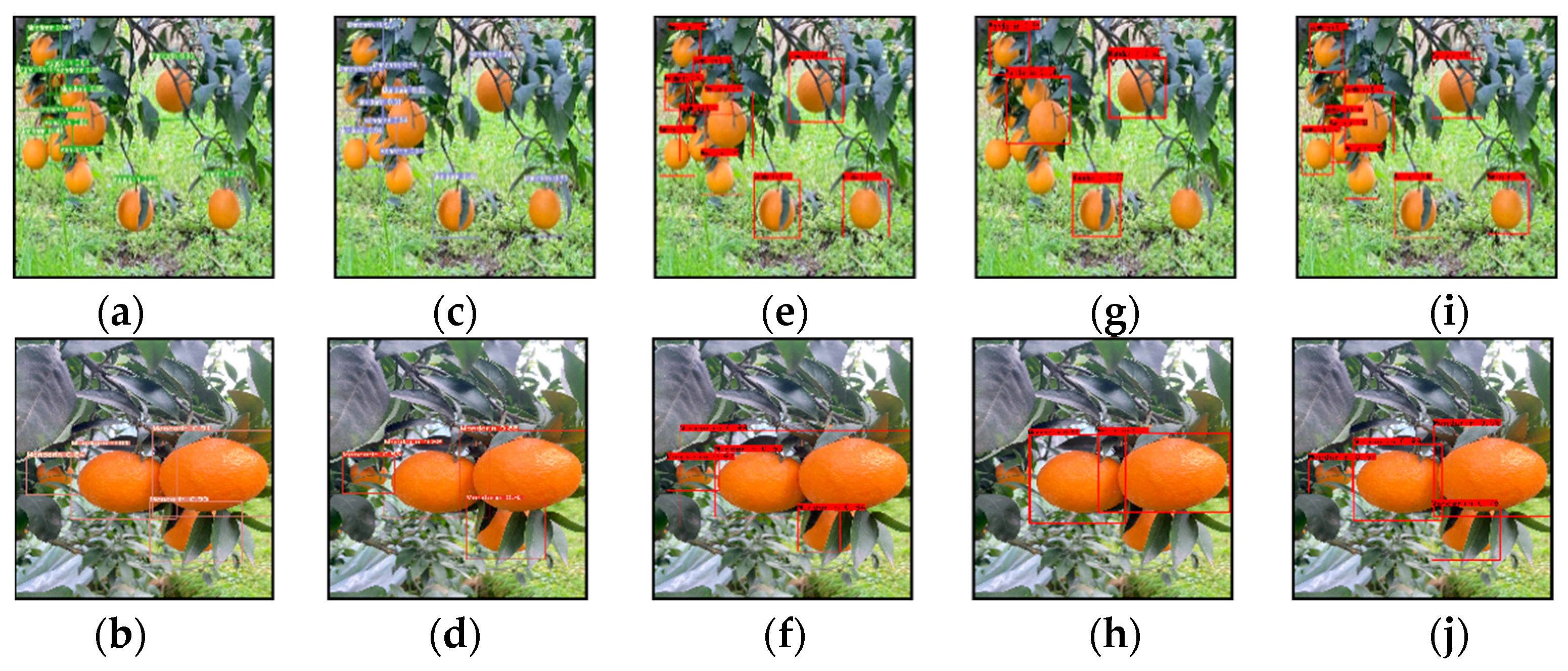 Plants 11 03260 g012