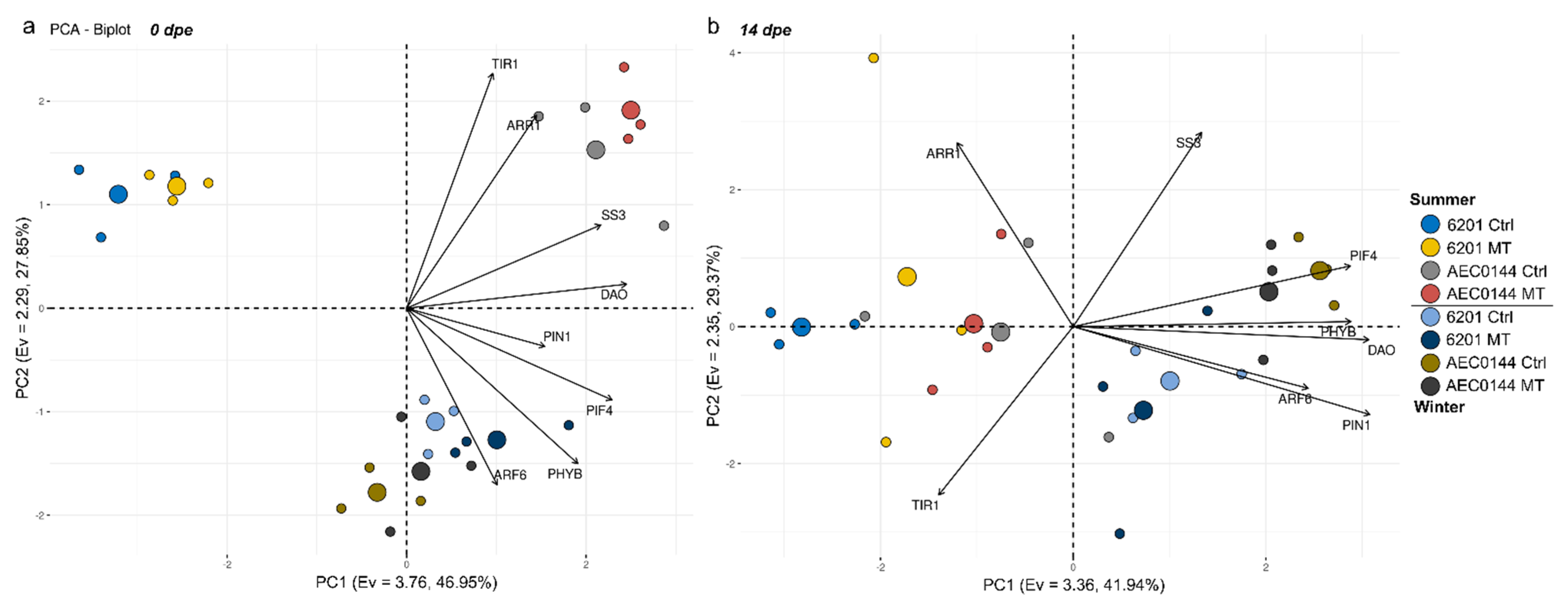 Plants 11 03281 g006