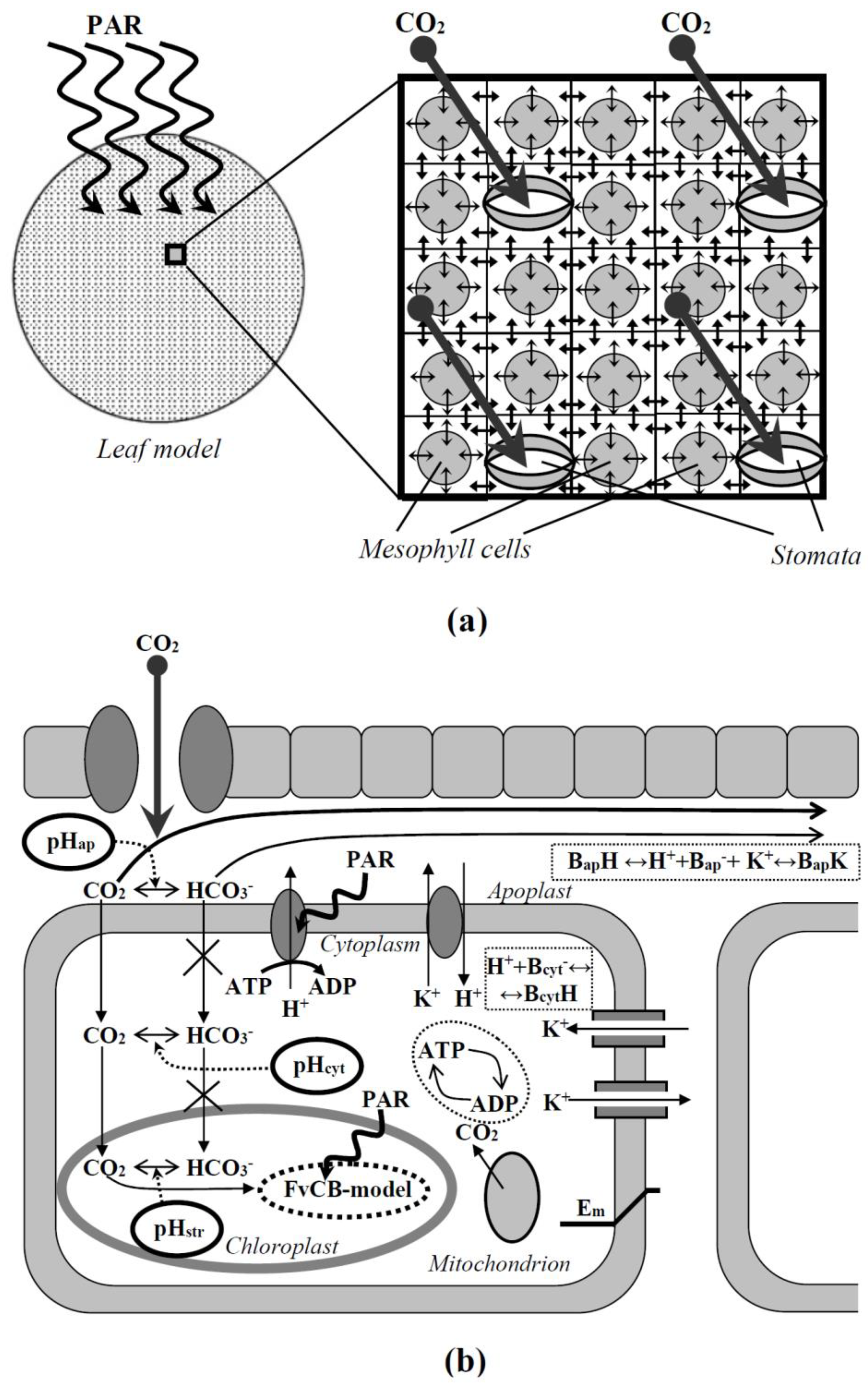Plants 11 03285 g001