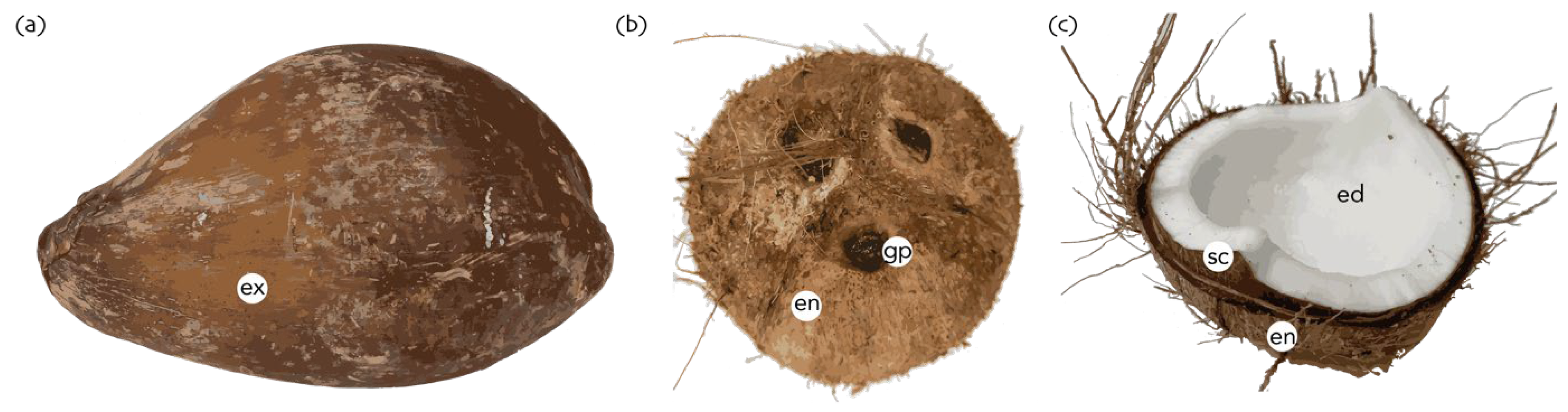 Plants 11 03293 g001 Plants 11 03293 g001