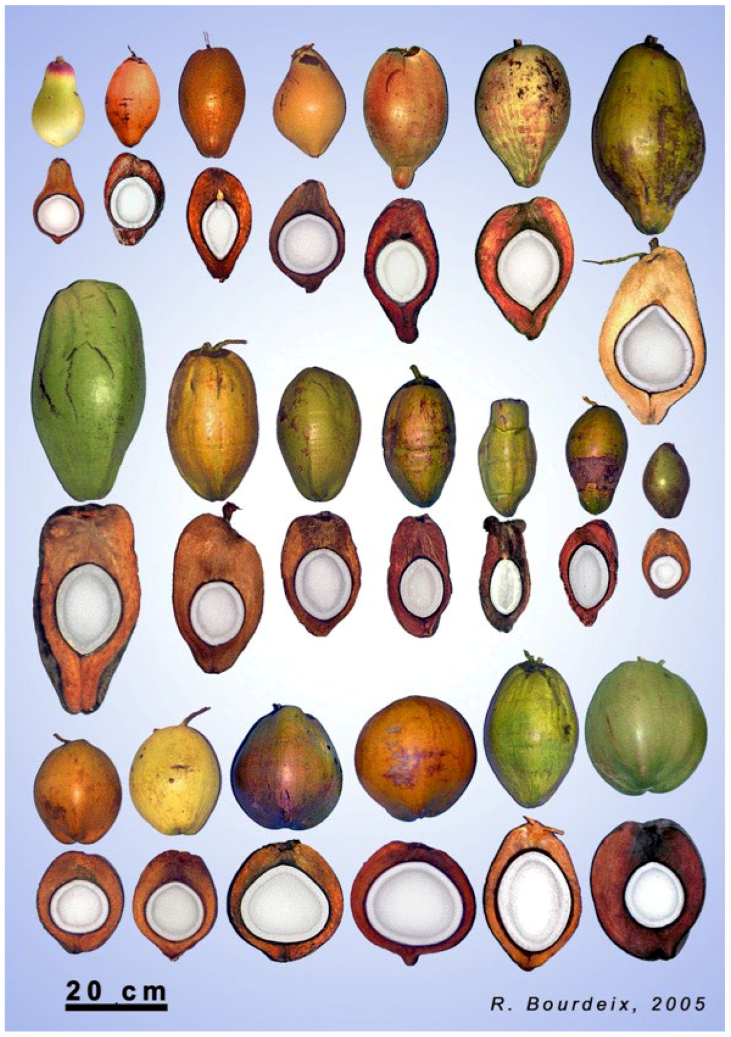 Plants 11 03293 g002 Plants 11 03293 g002