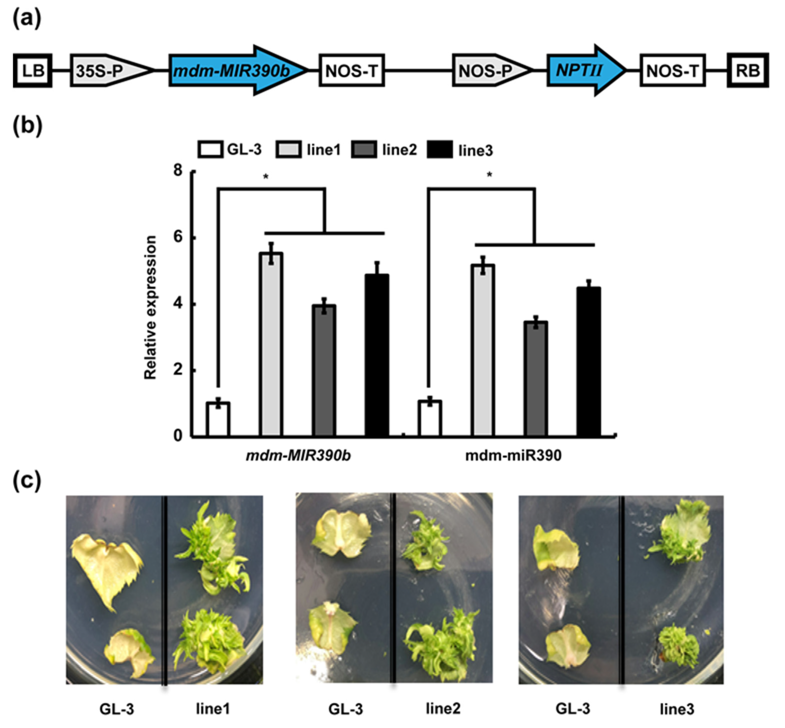 Plants 11 03299 g004