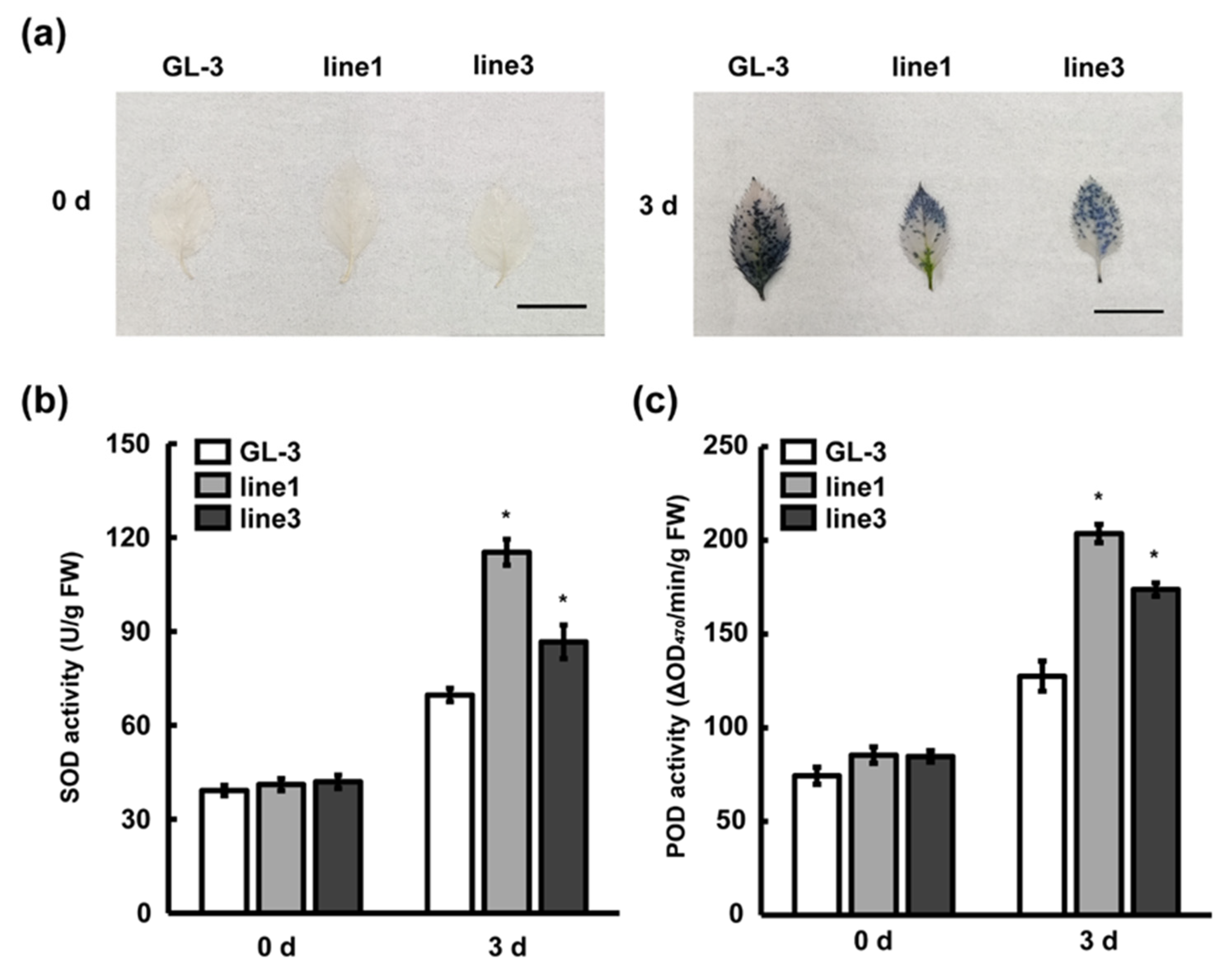 Plants 11 03299 g006