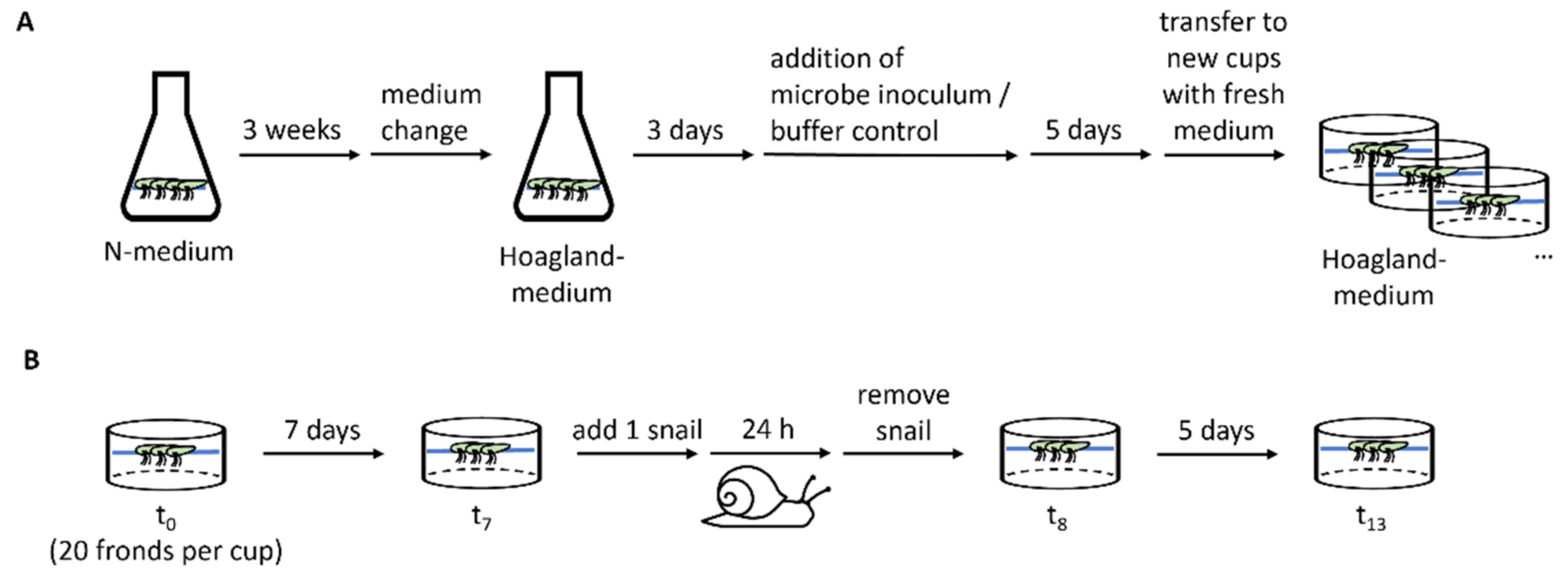 Plants 11 03317 g002 Plants 11 03317 g002