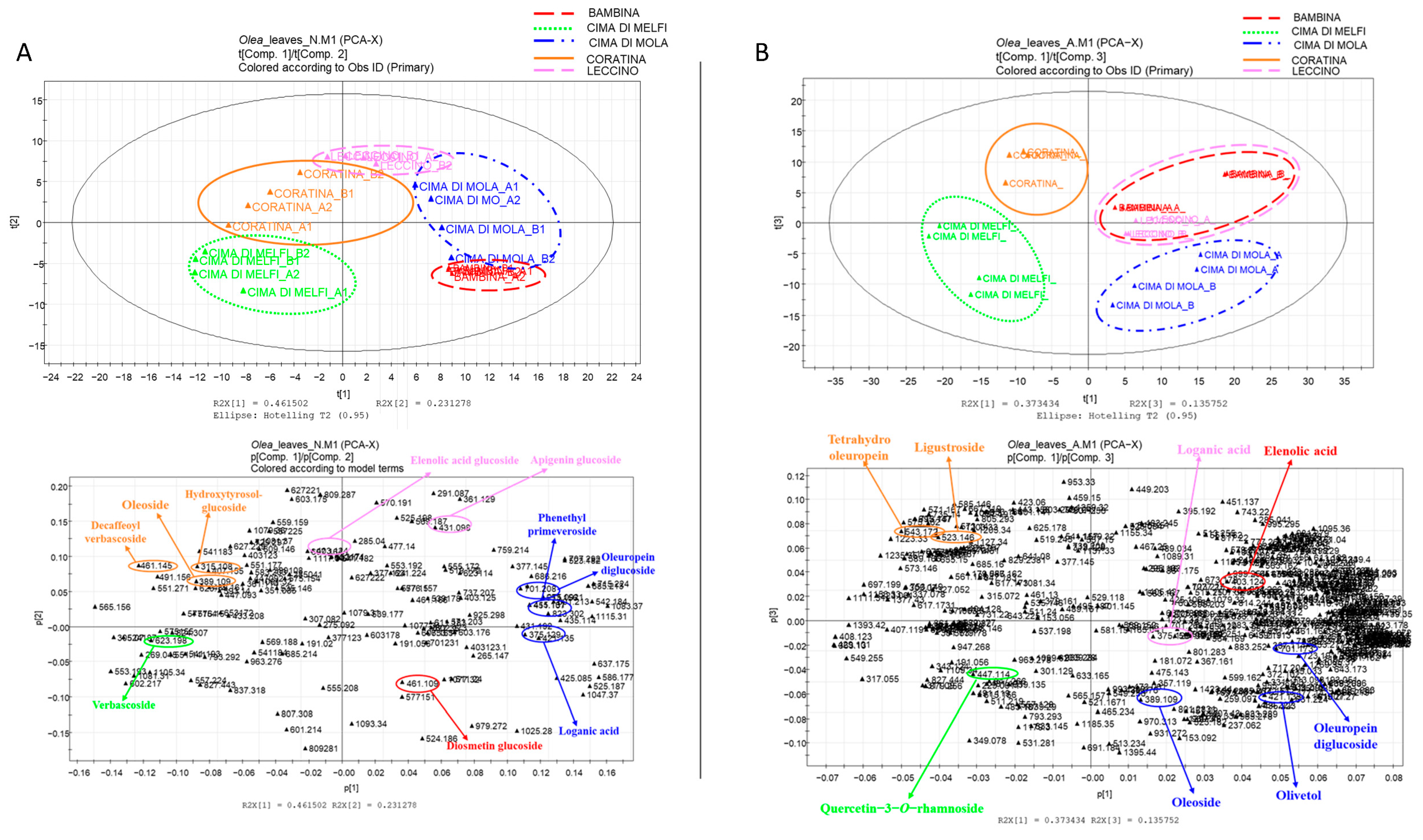 Plants 11 03321 g002