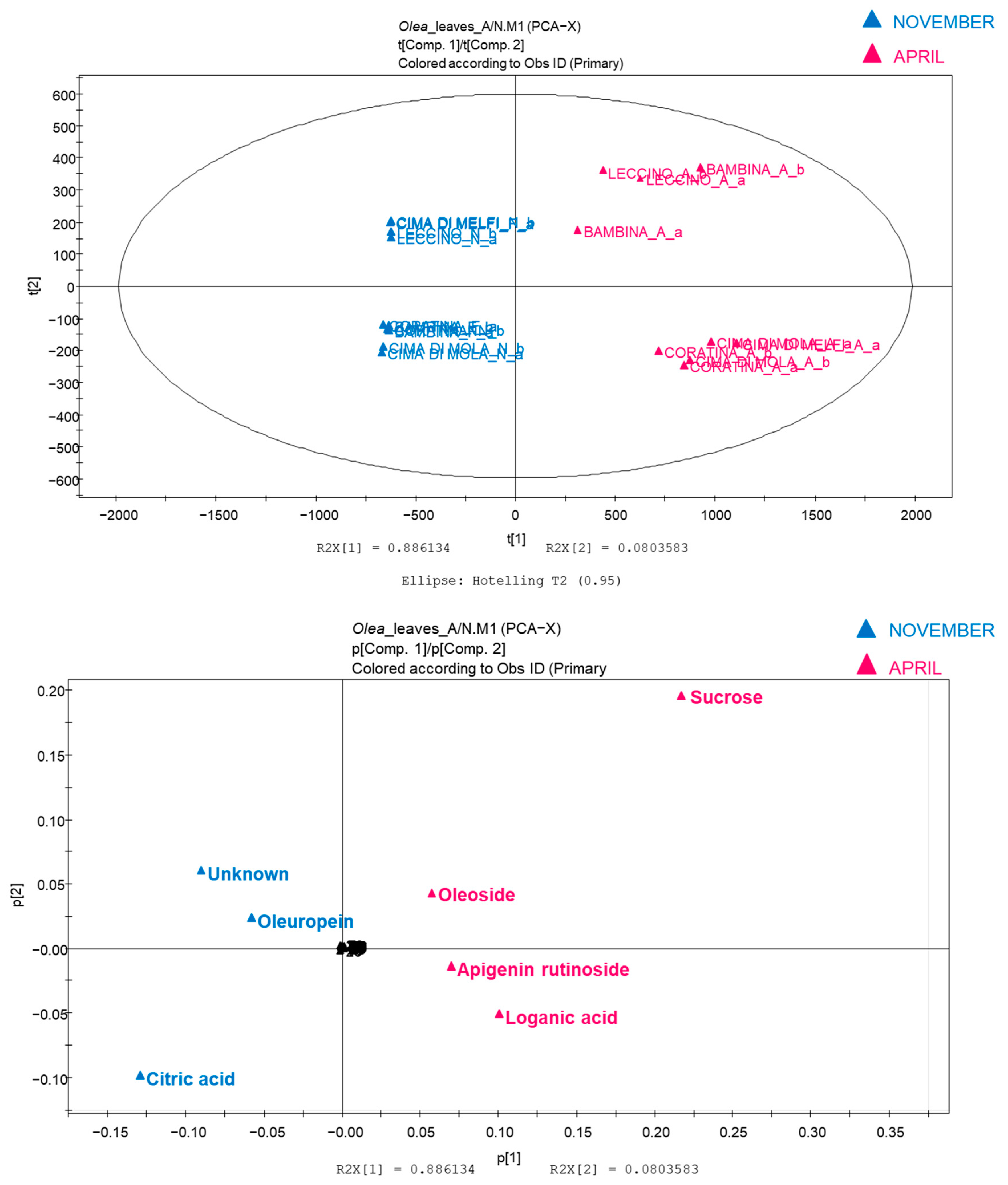 Plants 11 03321 g003