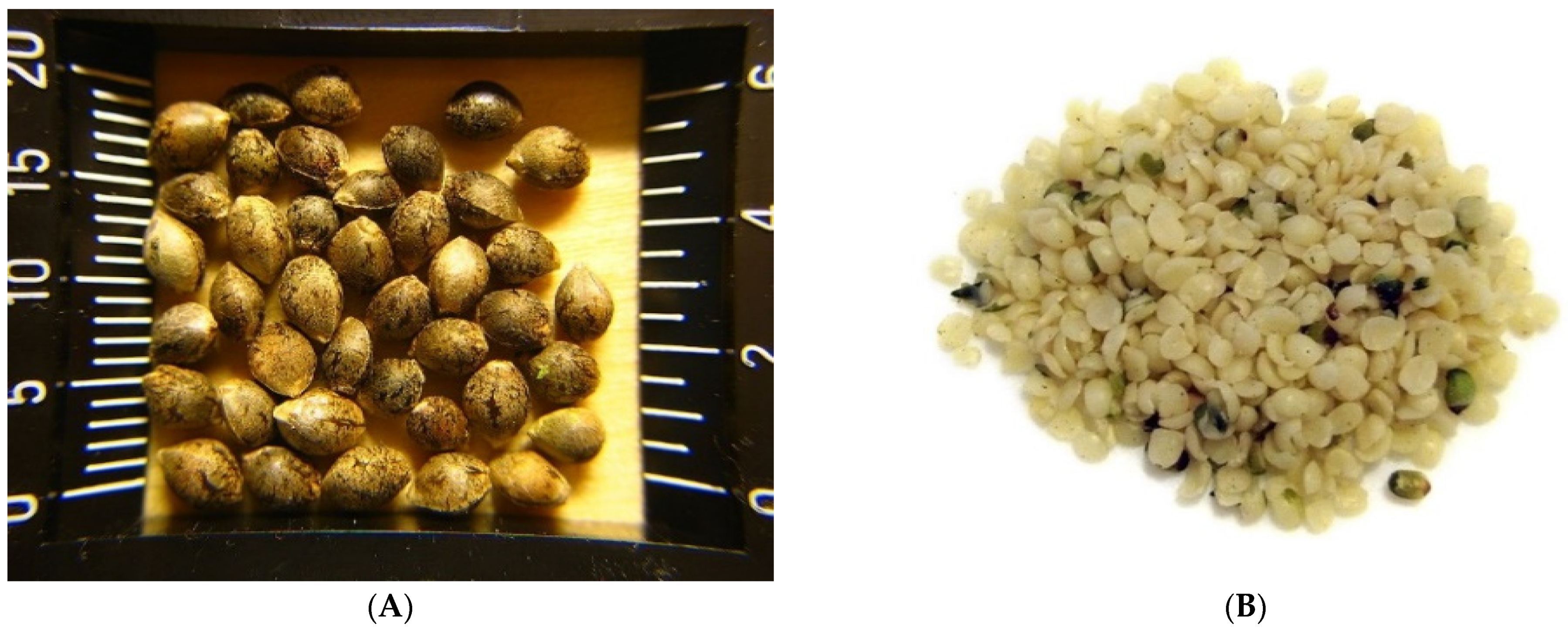 Plants 11 03330 g003