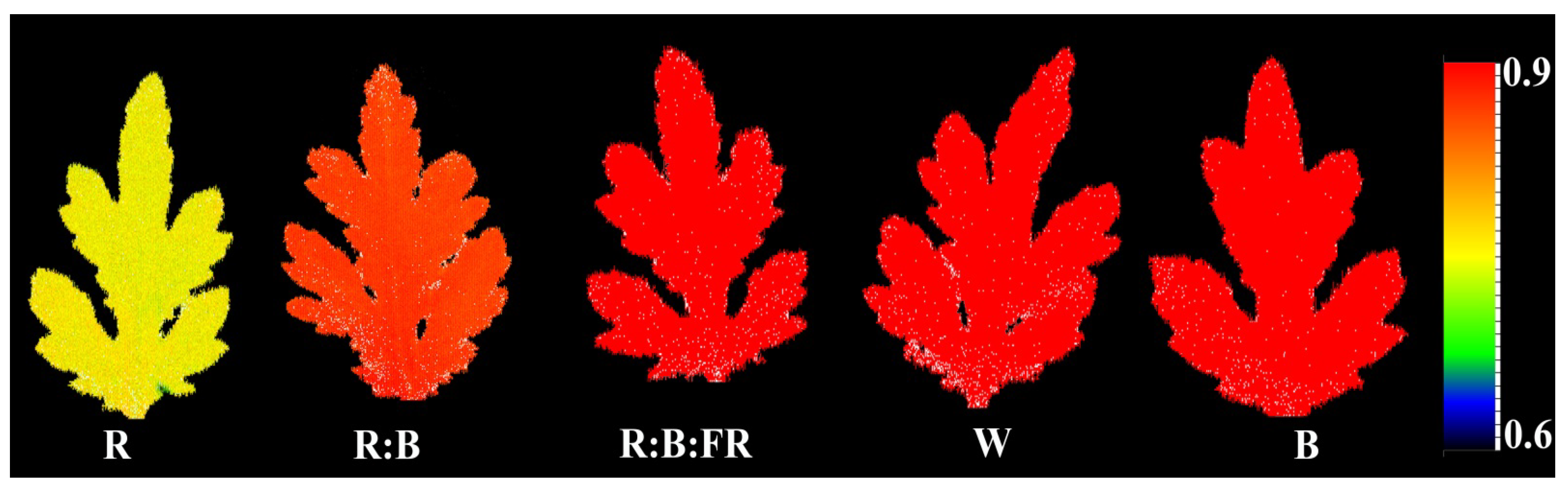 Plants 11 03337 g004