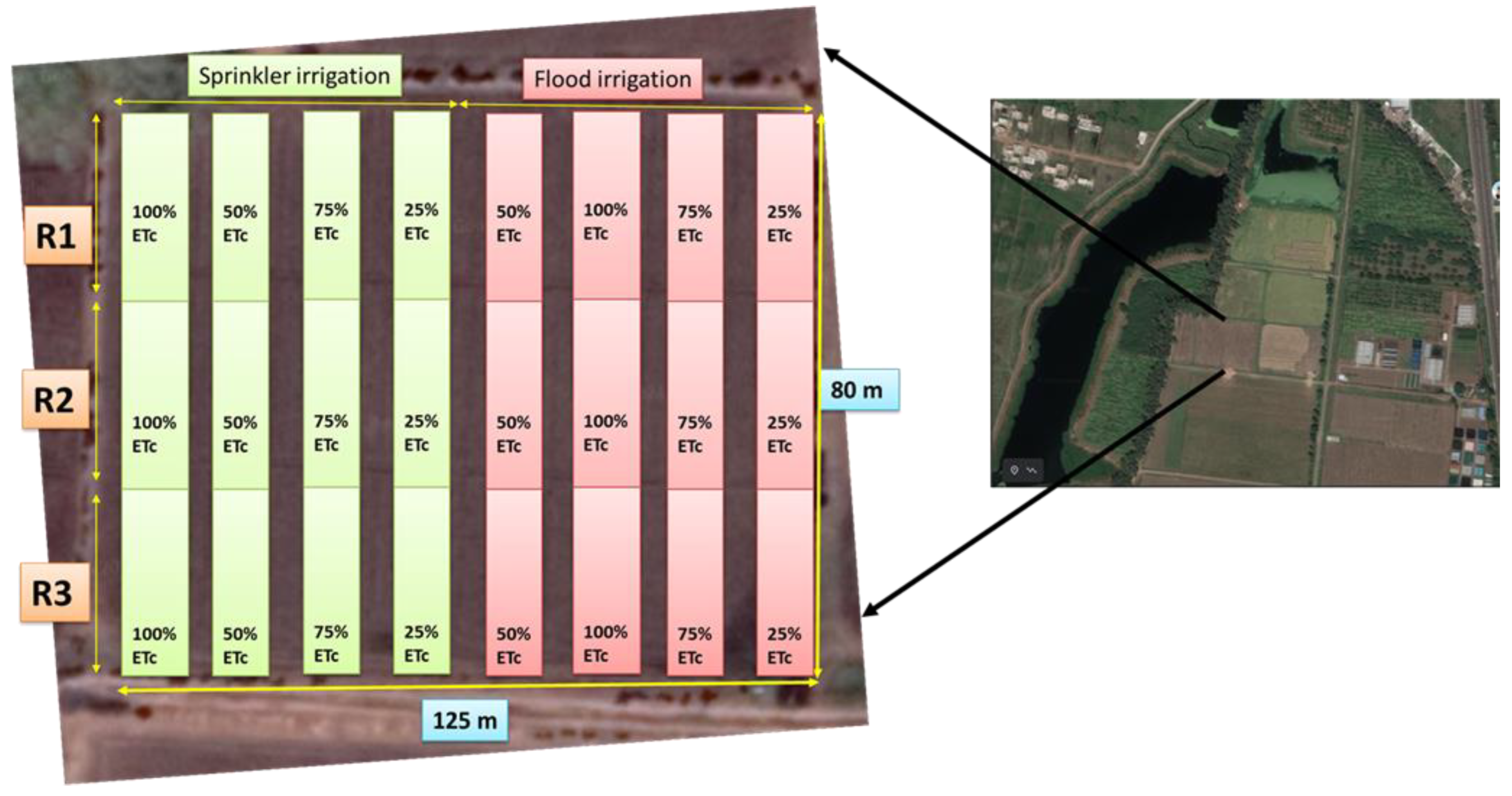 Plants 11 03344 g001 Plants 11 03344 g001