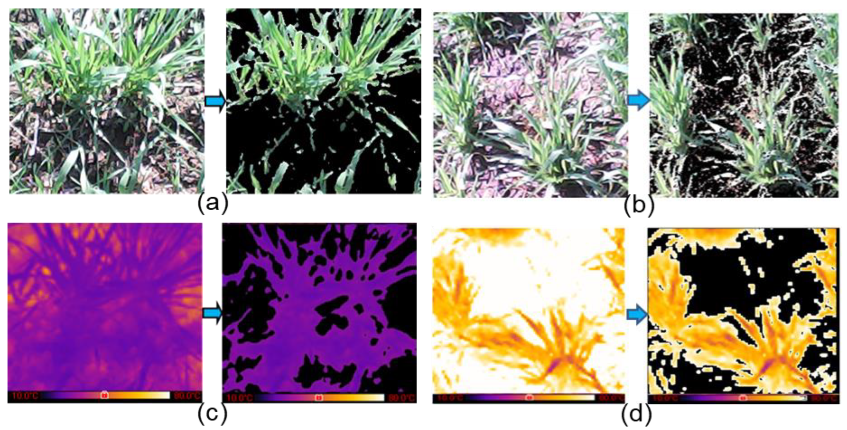 Plants 11 03344 g002 Plants 11 03344 g002