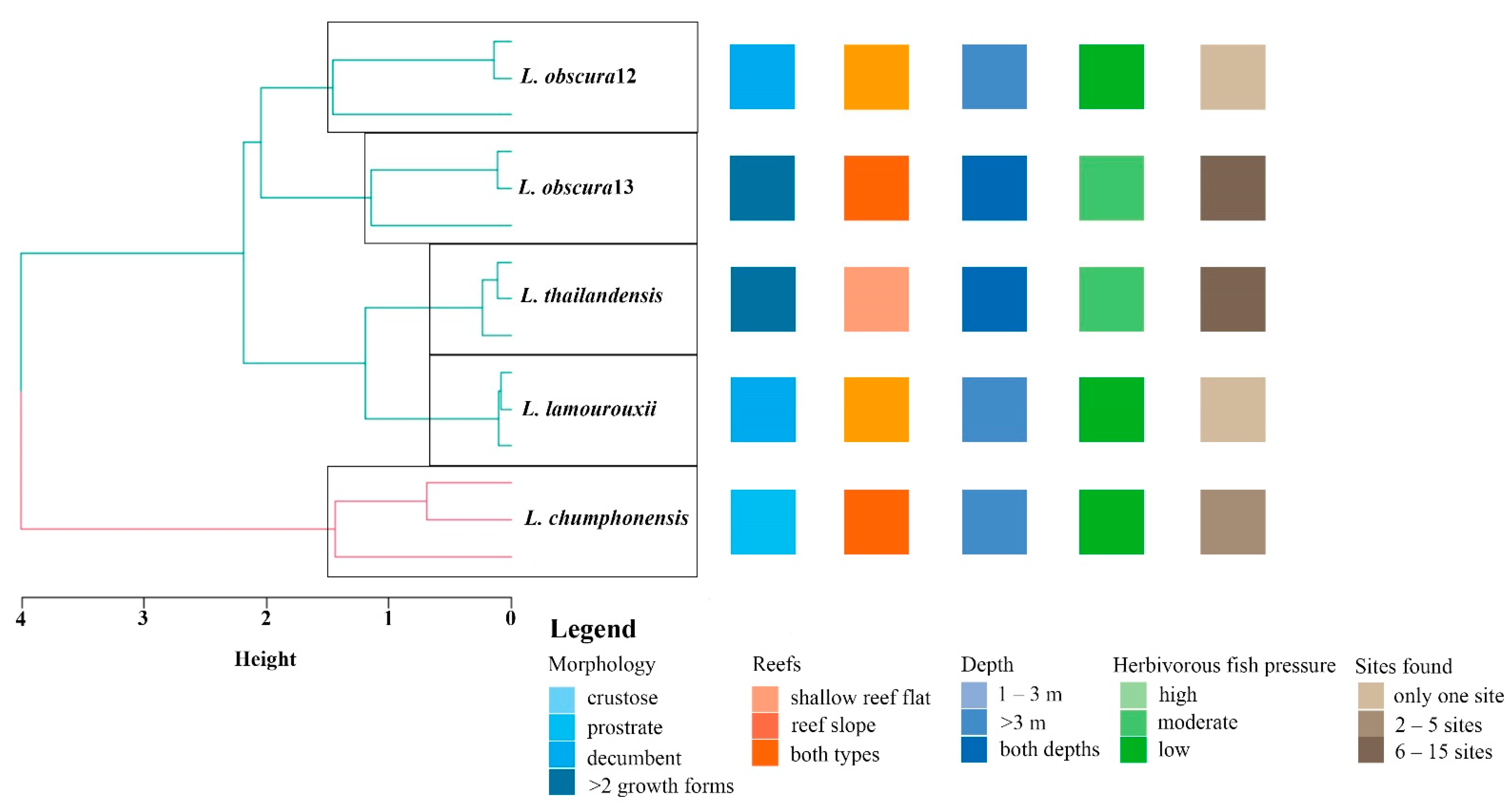 Plants 11 03349 g003