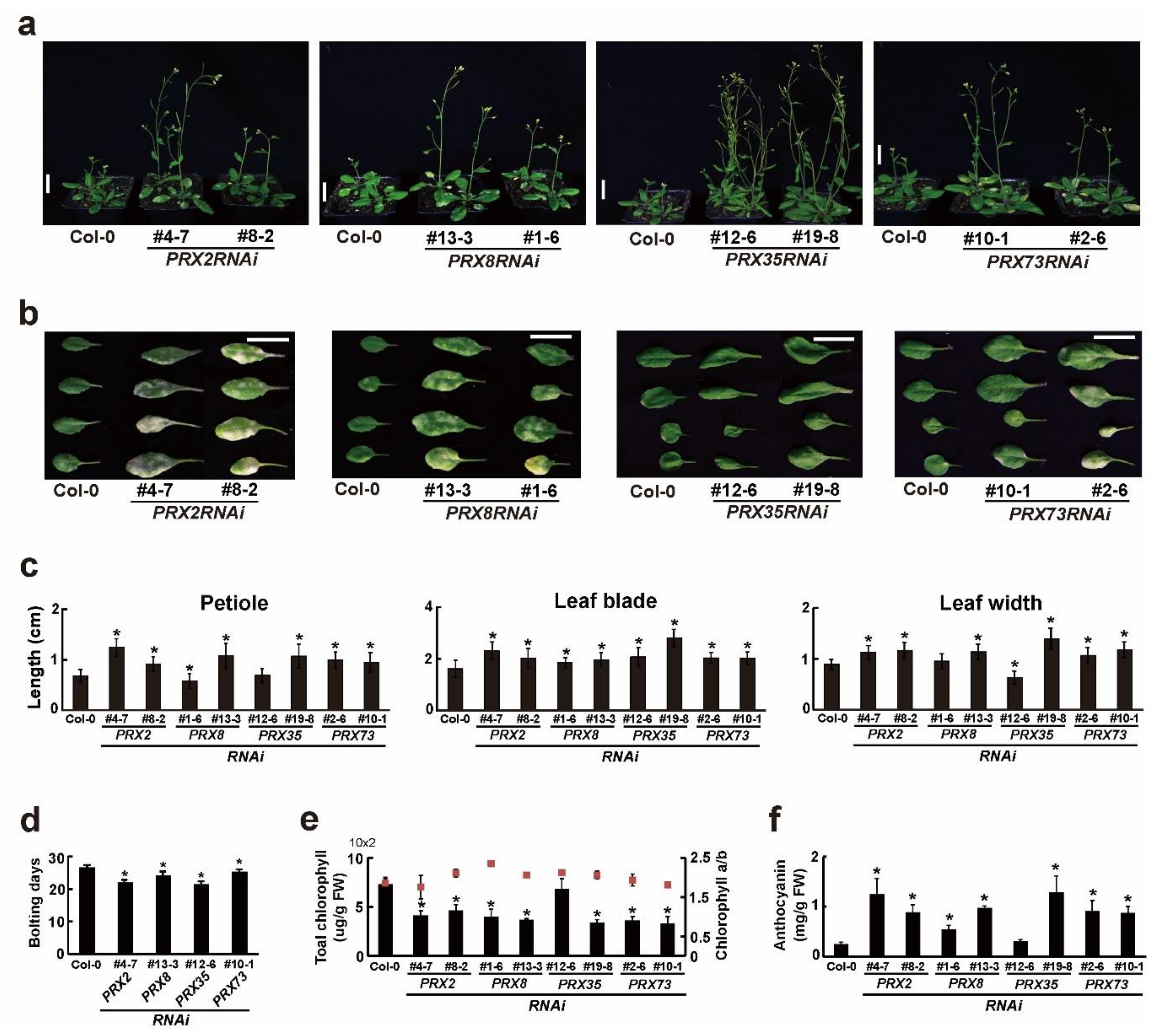 Plants 11 03353 g003