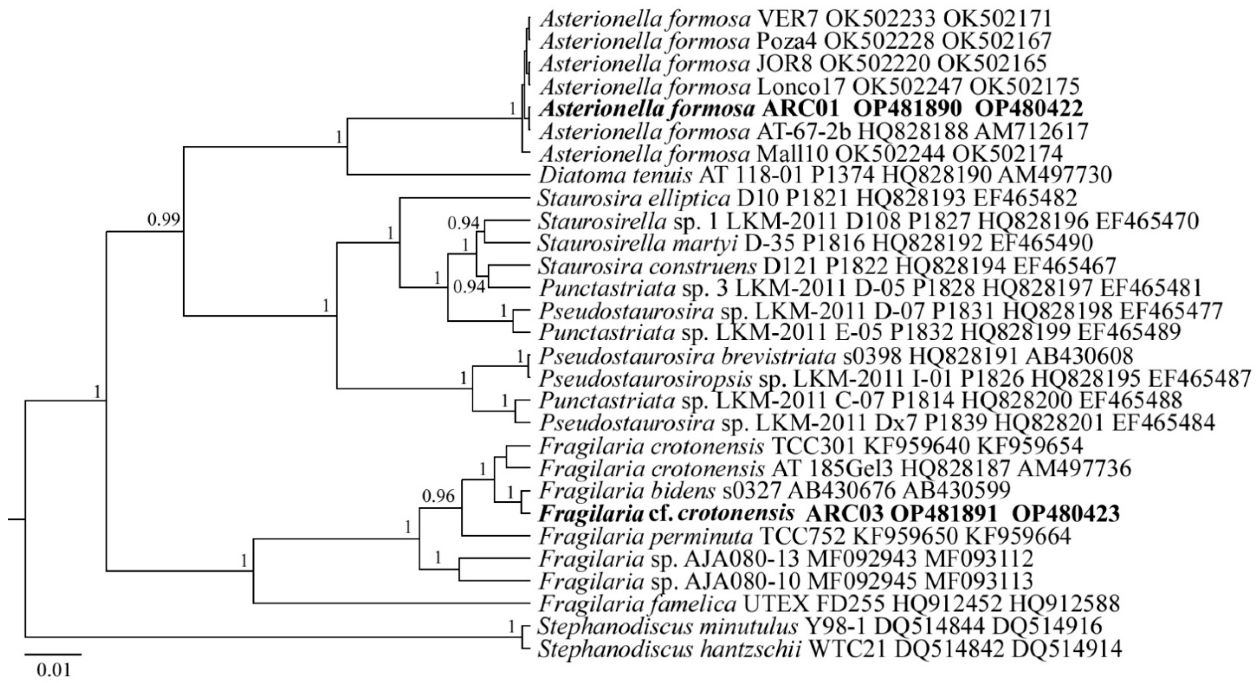 Plants 11 03361 g006 Plants 11 03361 g006