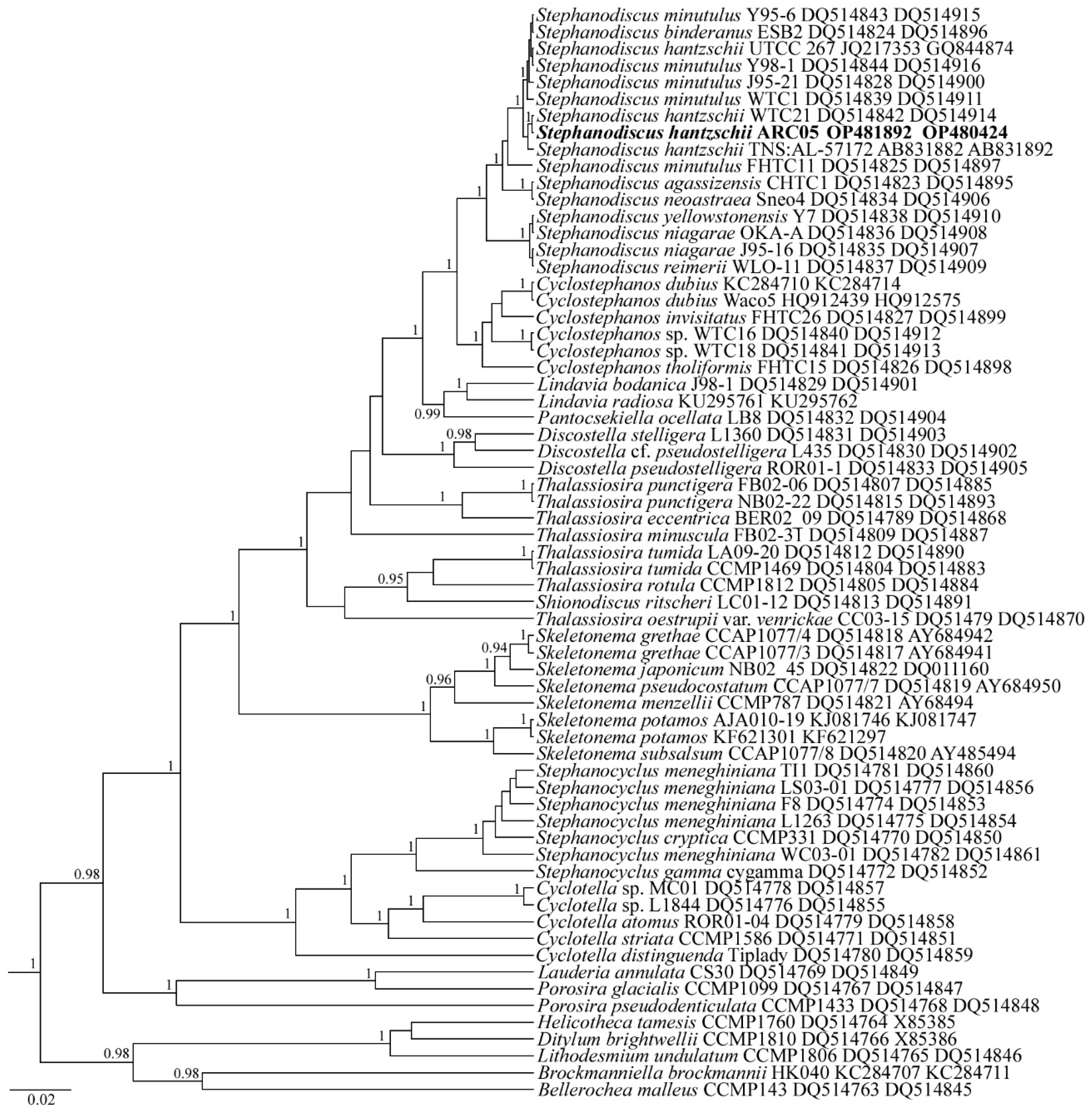 Plants 11 03361 g007 Plants 11 03361 g007