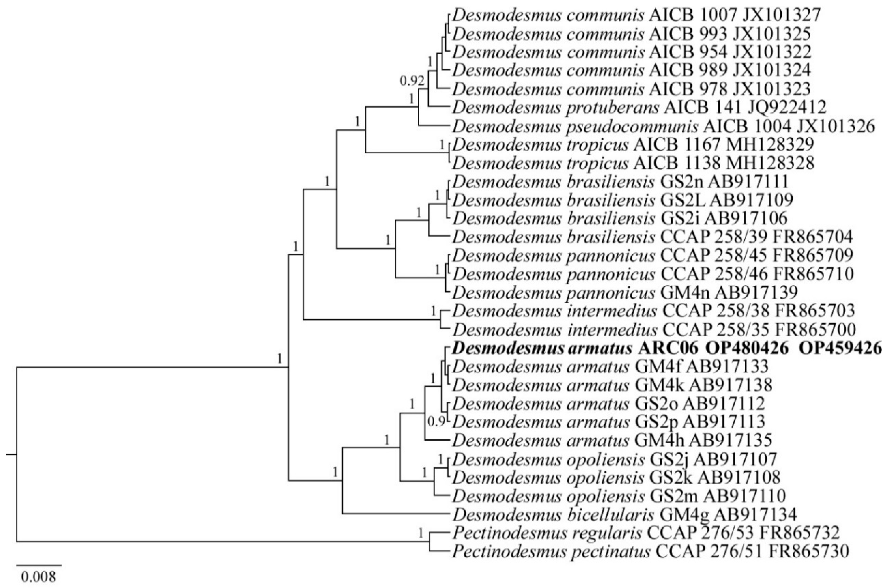 Plants 11 03361 g008 Plants 11 03361 g008