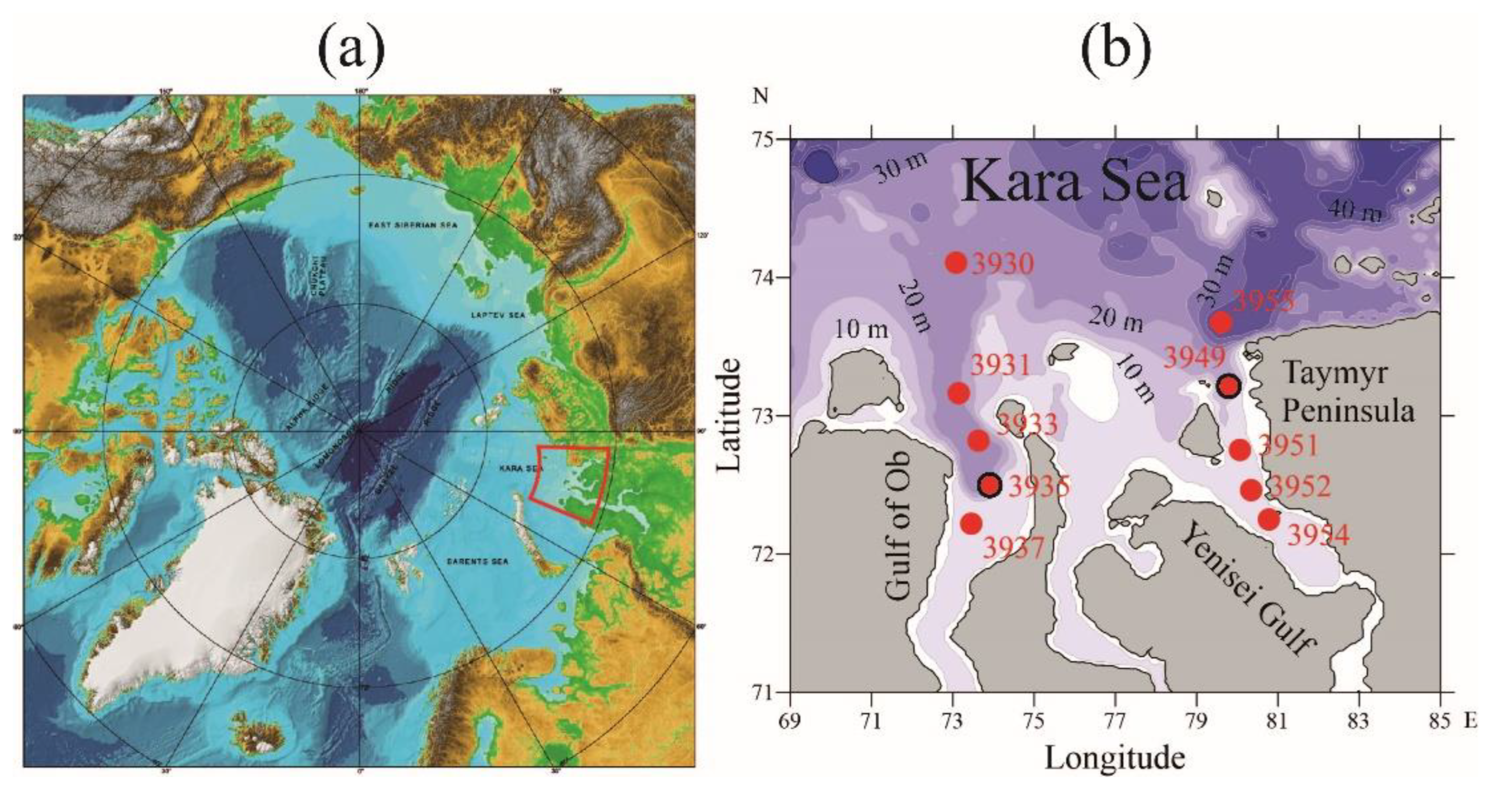 Plants 11 03361 g012 Plants 11 03361 g012