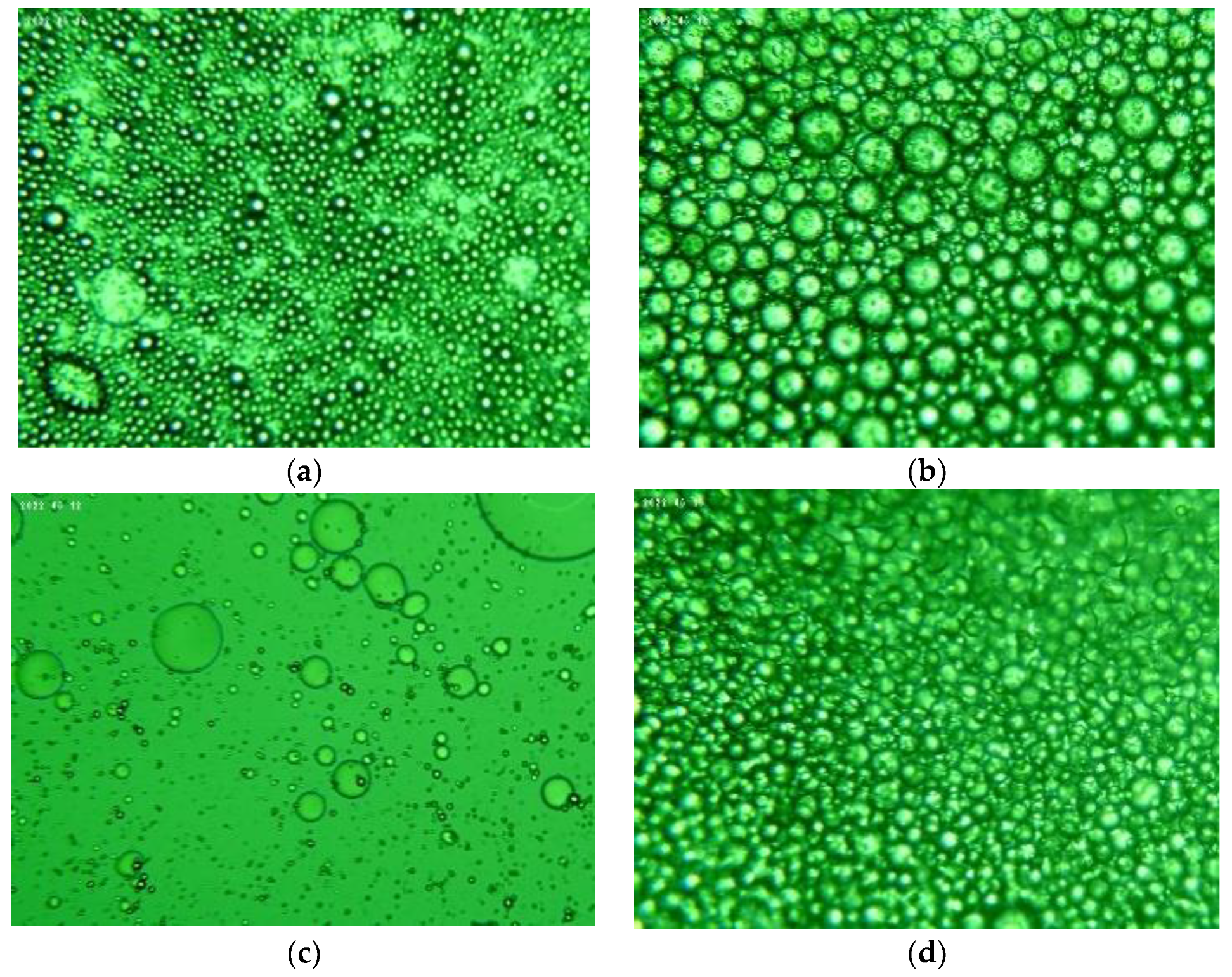 Plants 11 03372 g001 Plants 11 03372 g001