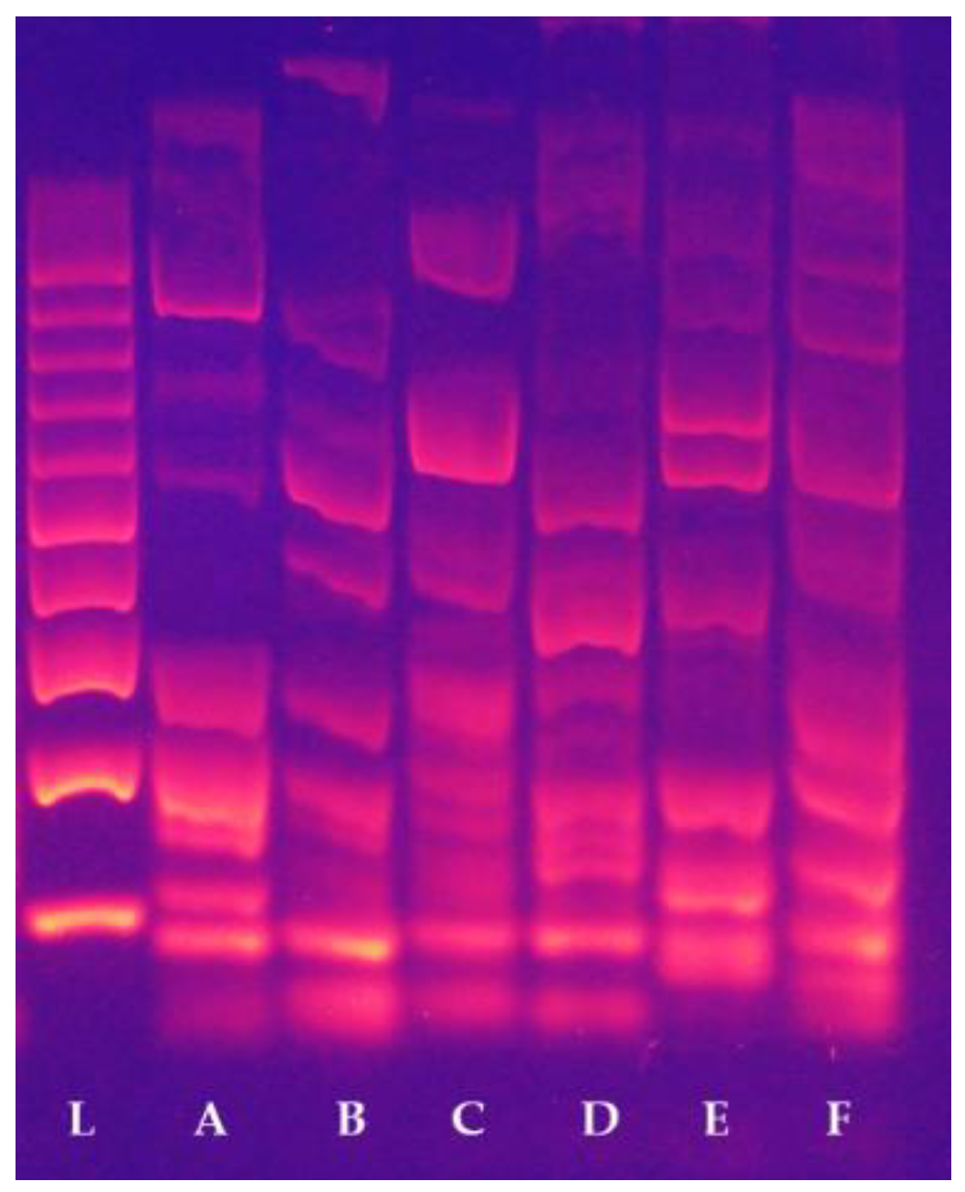 Plants 11 03375 g002