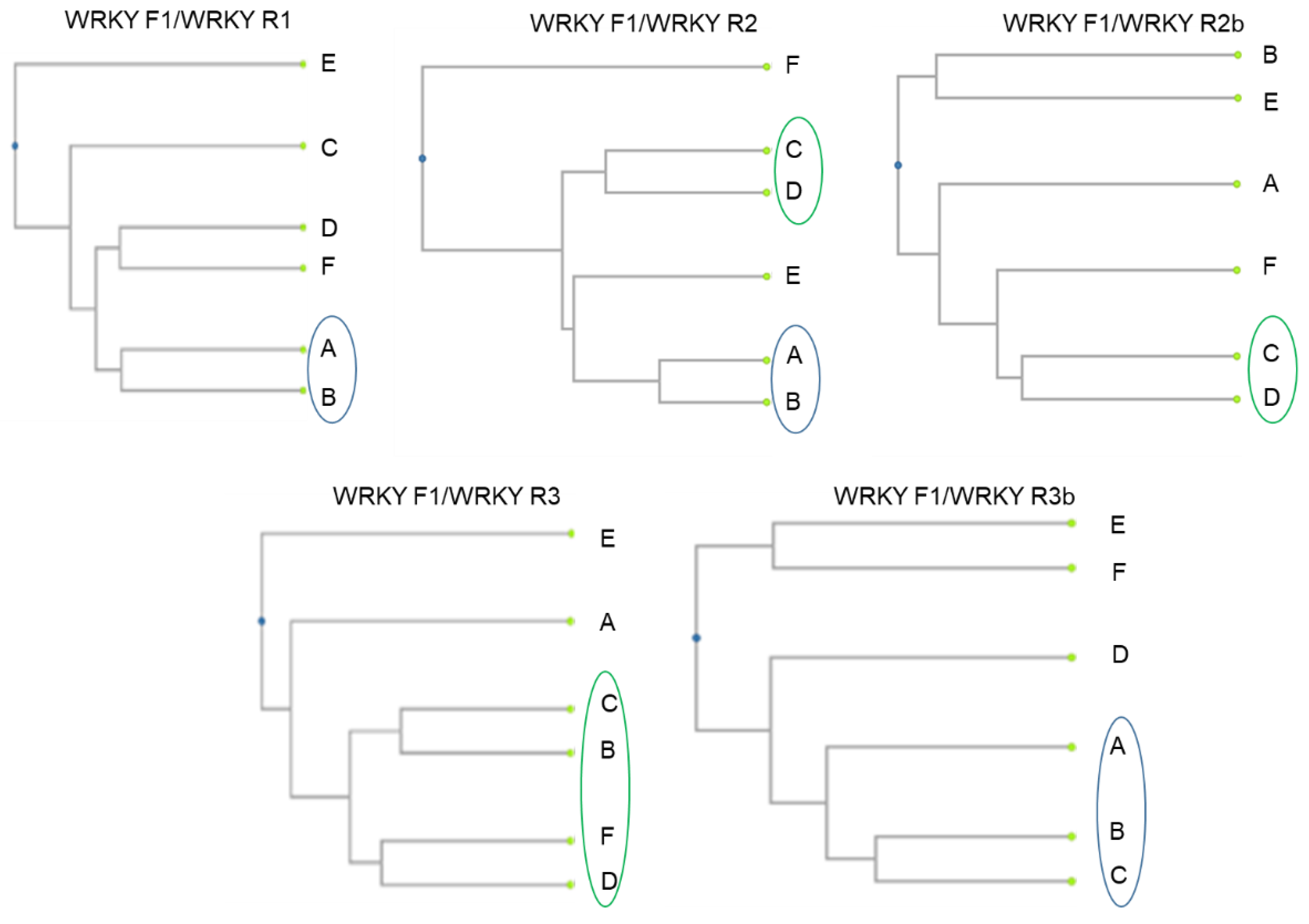 Plants 11 03375 g003