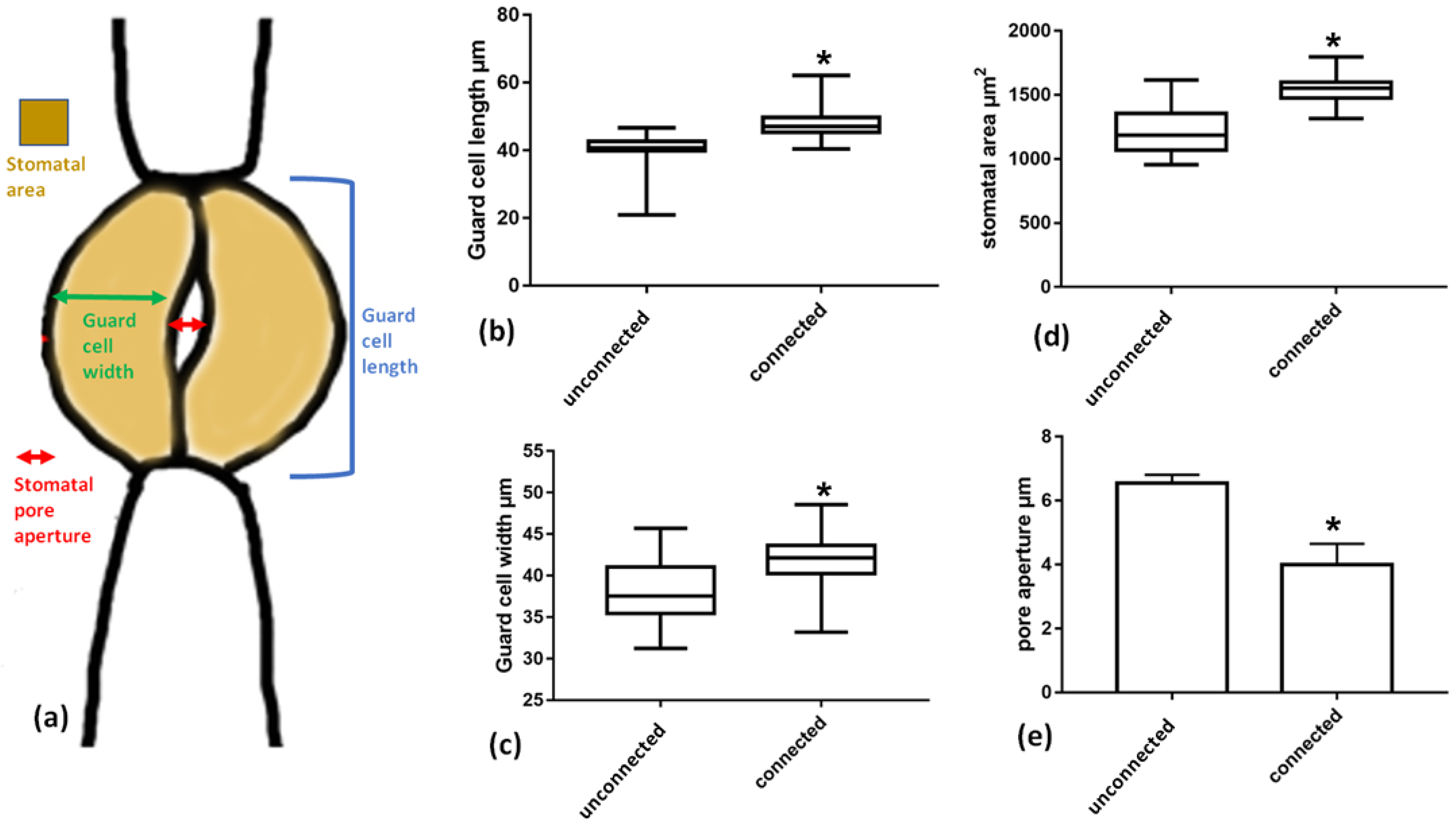 Plants 11 03377 g011 Plants 11 03377 g011