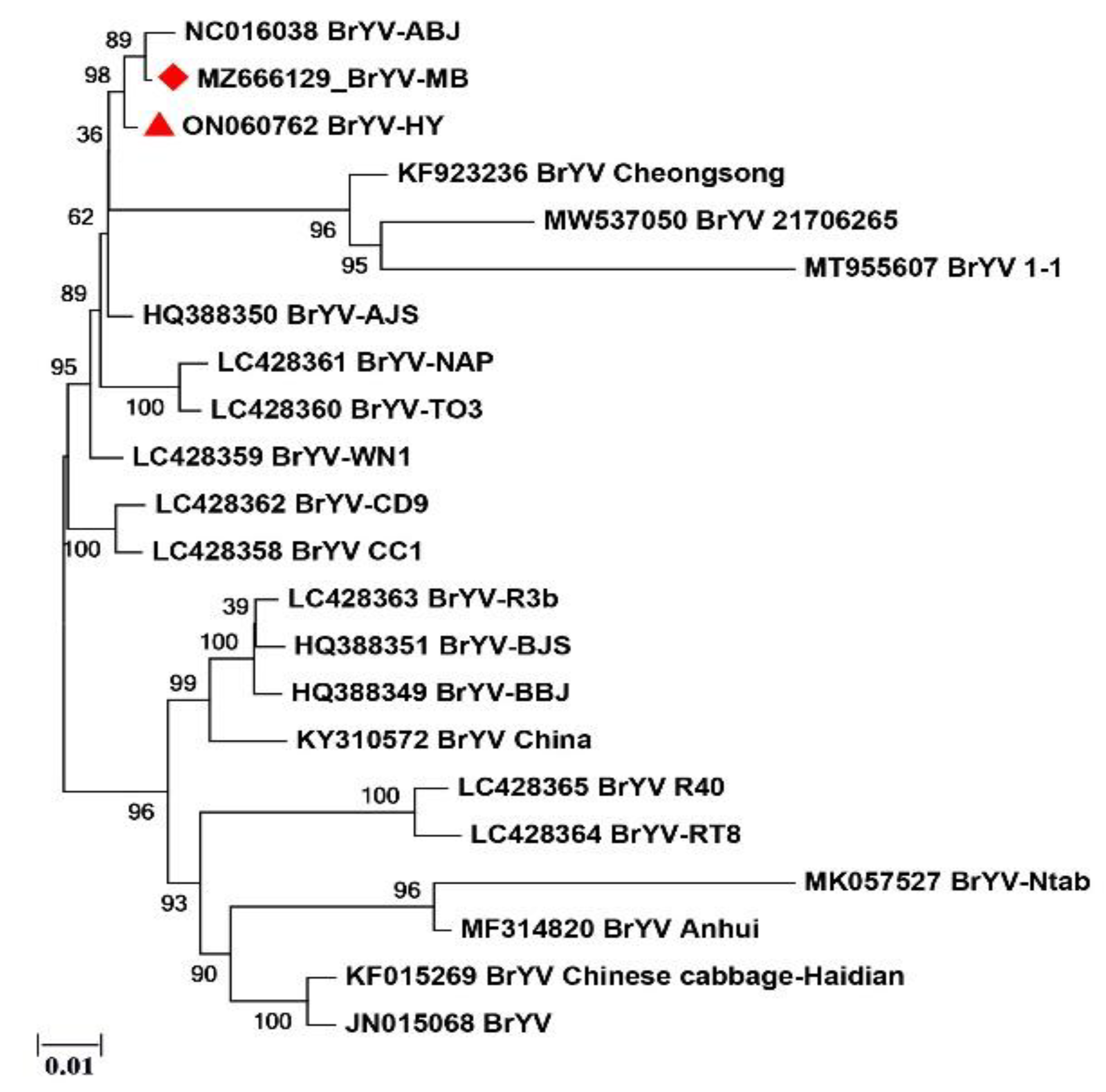 Plants 11 03380 g002