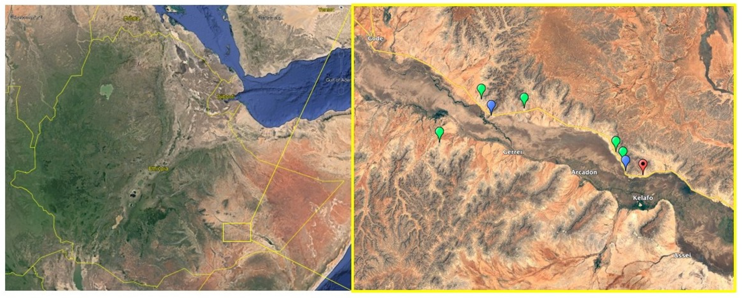 Plants 11 03381 g001