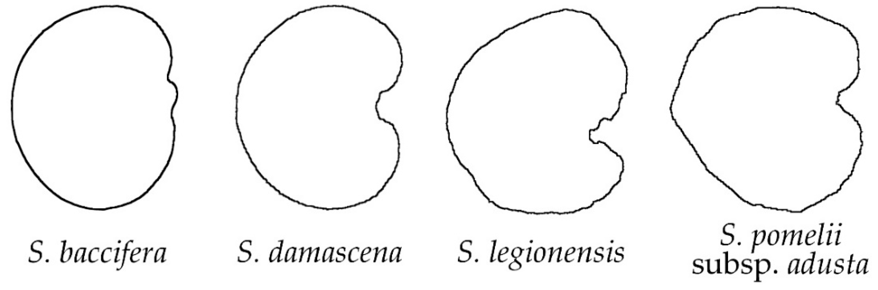 Plants 11 03383 g001