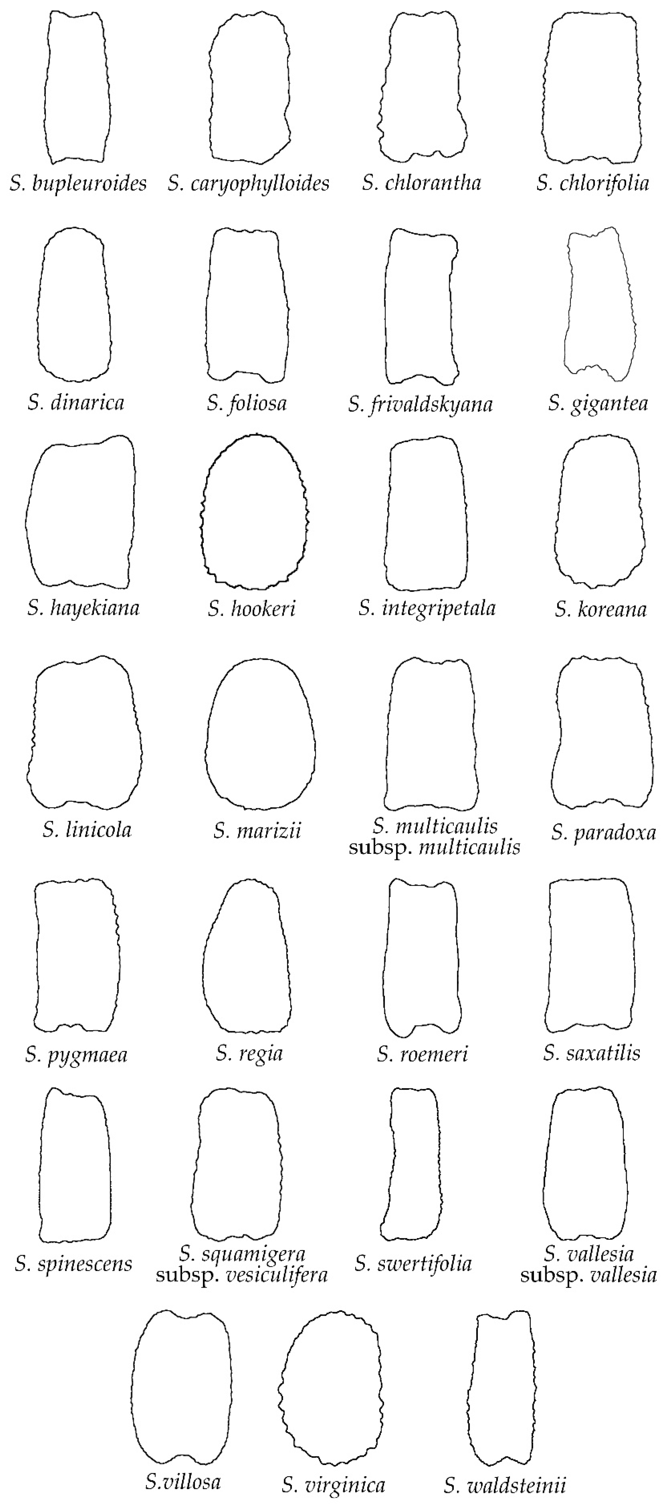 Plants 11 03383 g004