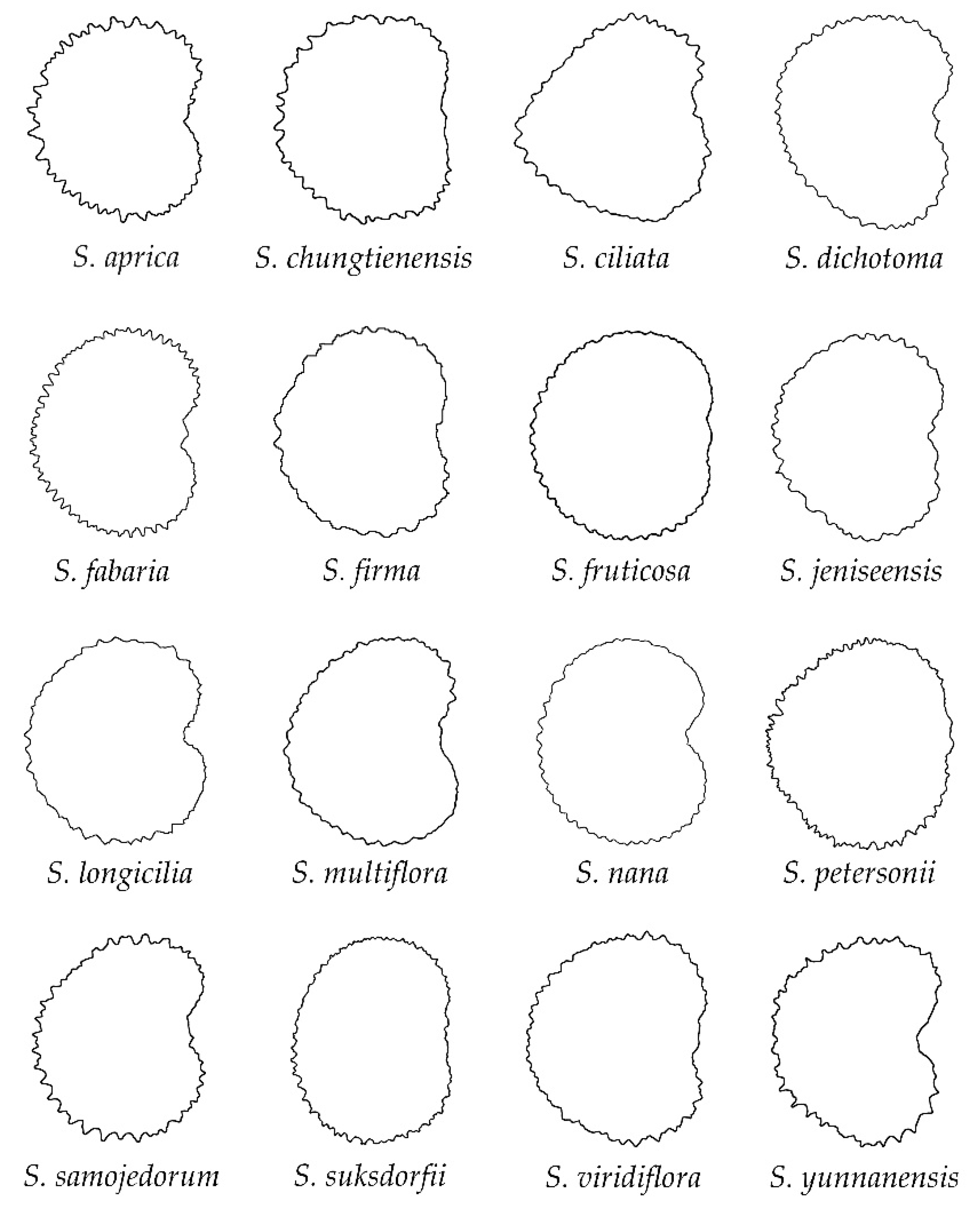 Plants 11 03383 g005