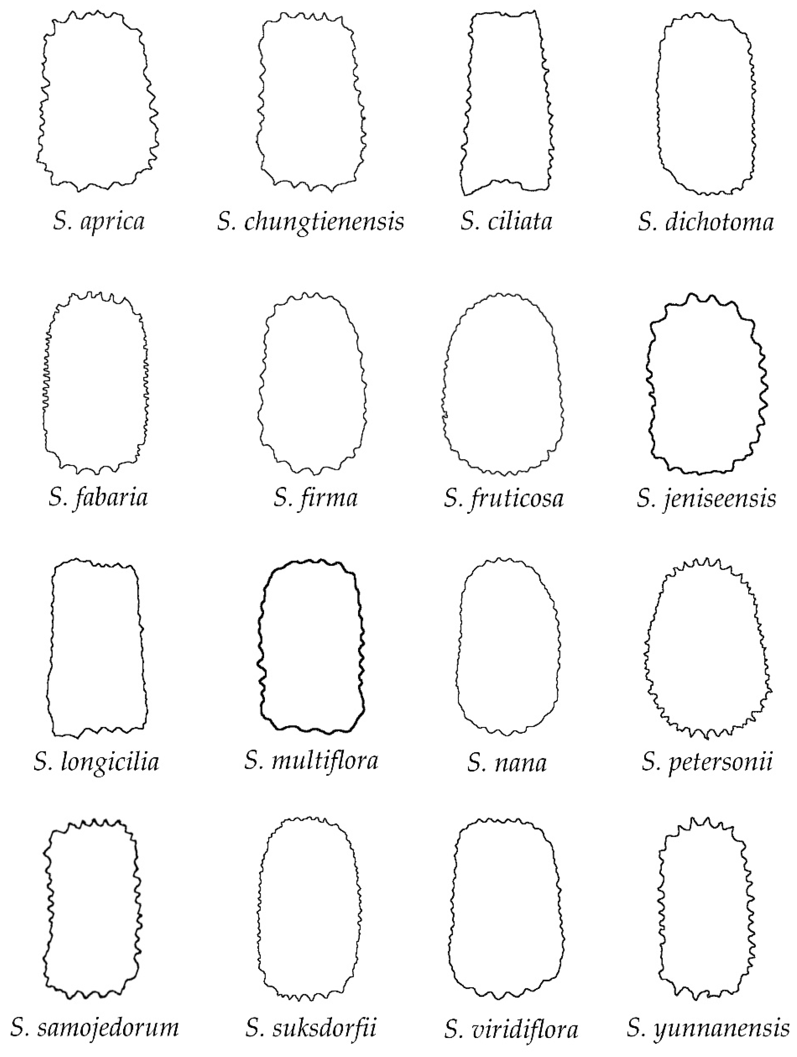 Plants 11 03383 g006