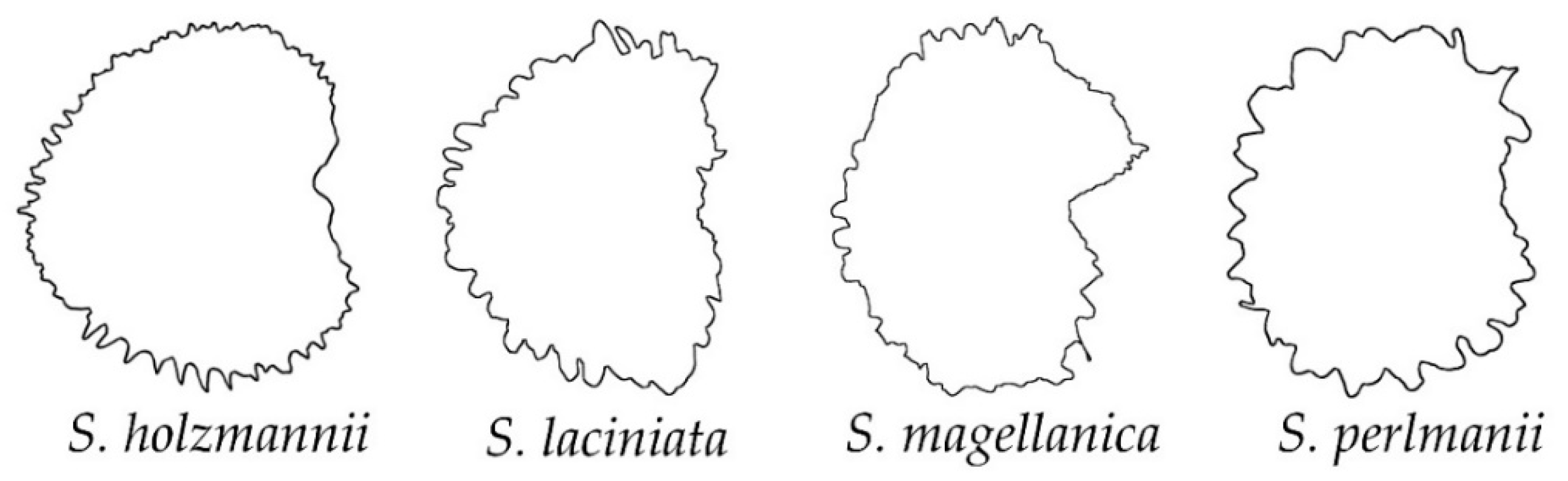 Plants 11 03383 g007