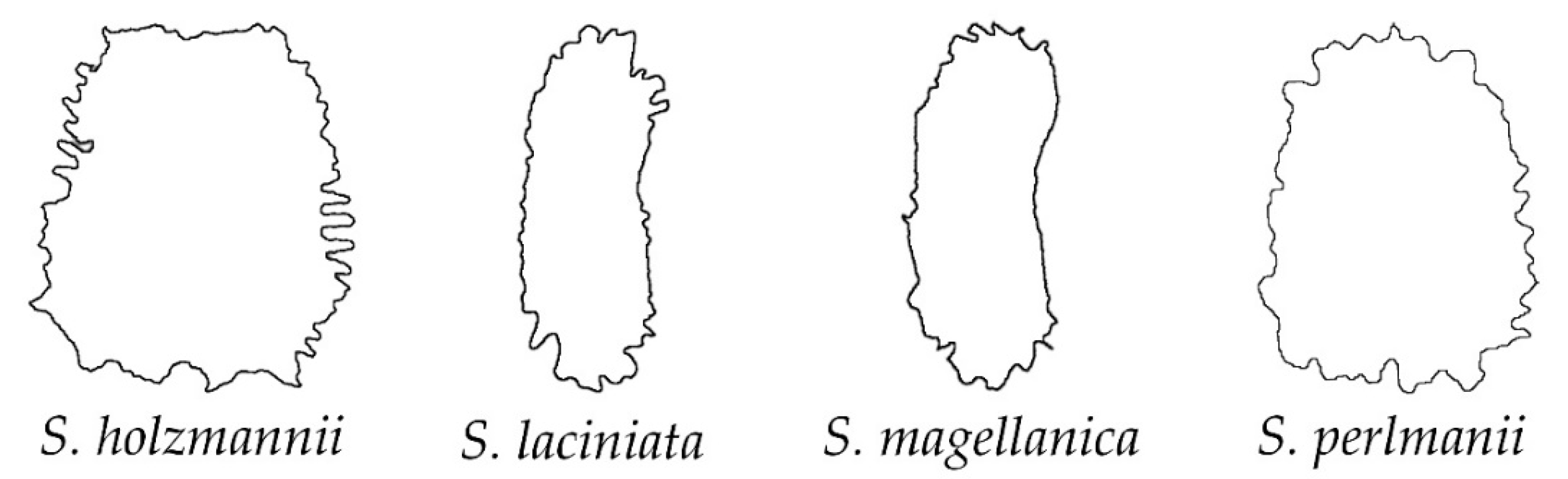 Plants 11 03383 g008