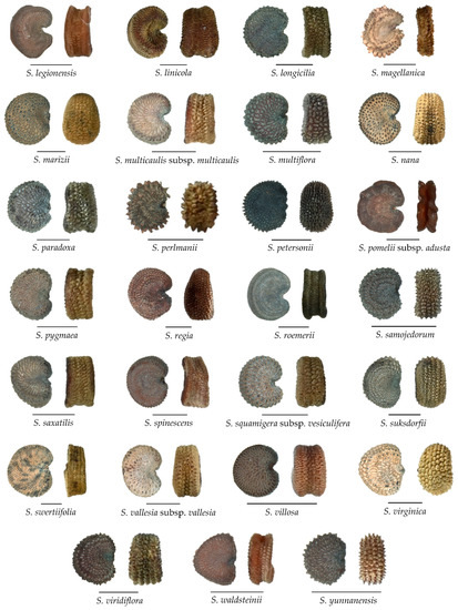 Plants 11 03383 g0a1b