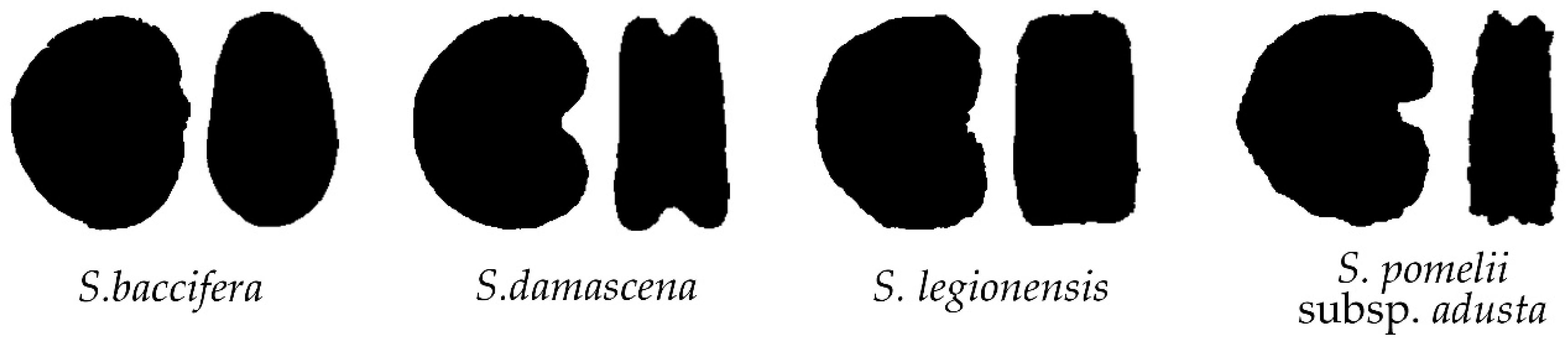 Plants 11 03383 g0a2