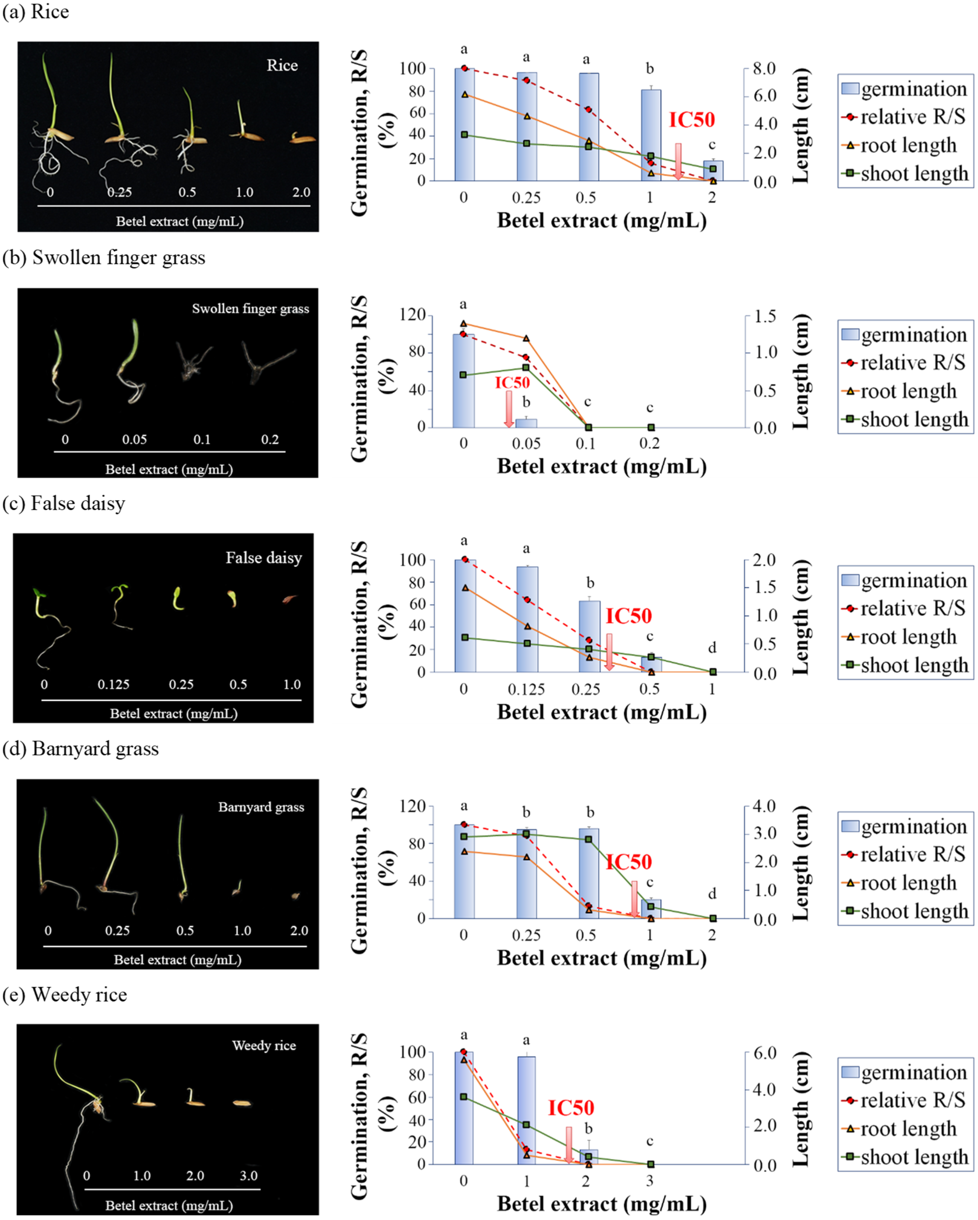 Plants 11 03384 g003
