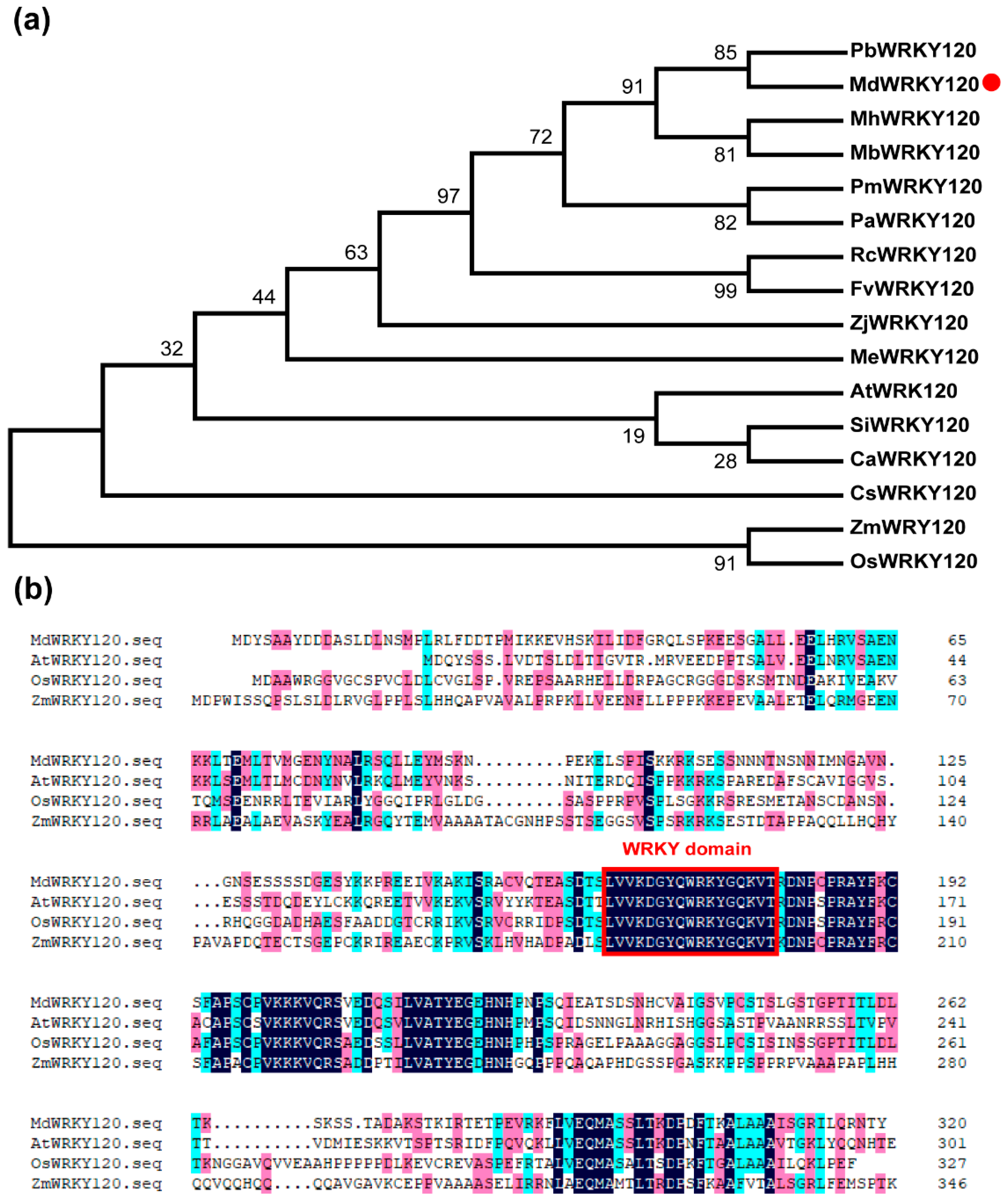 Plants 11 03389 g001
