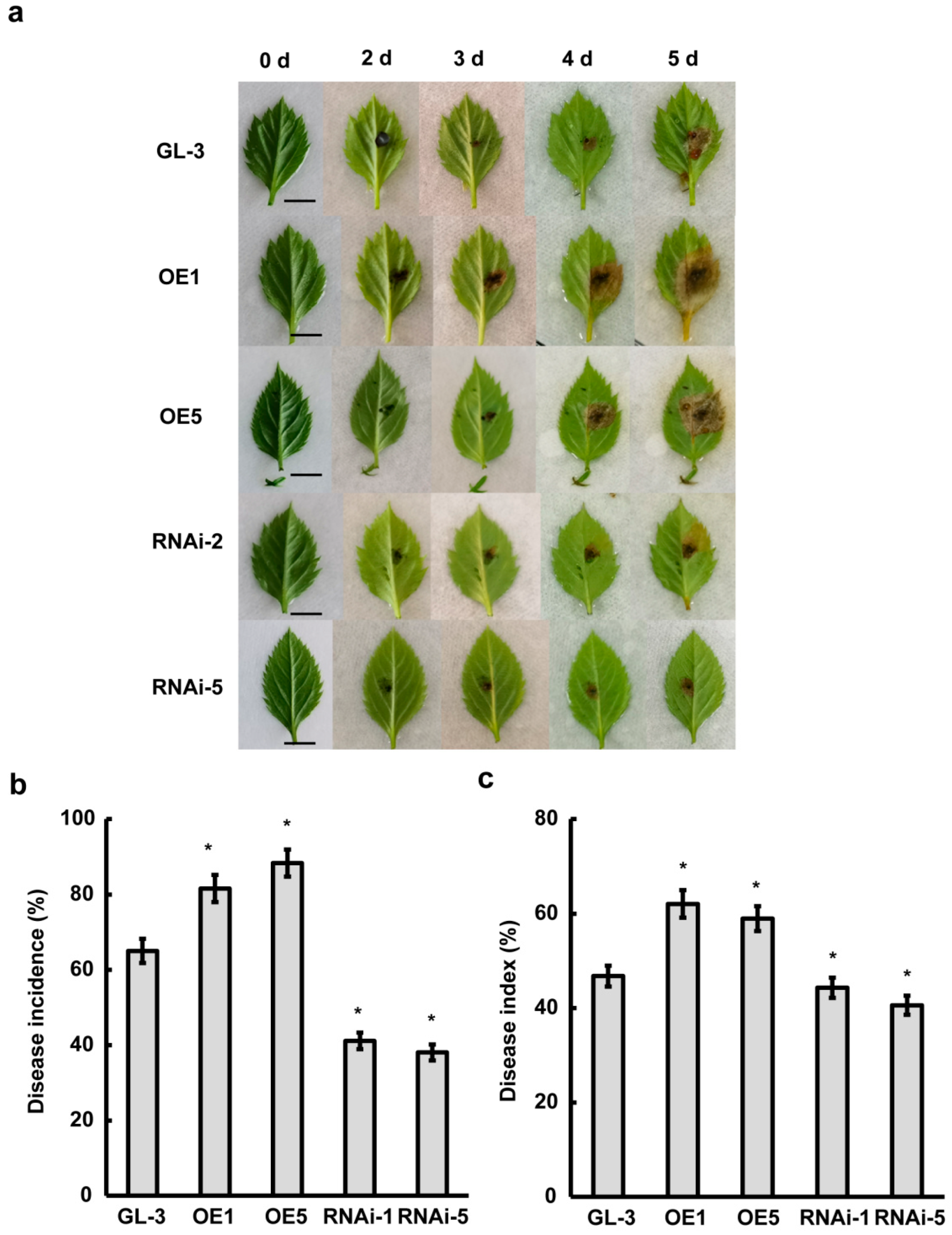 Plants 11 03389 g006