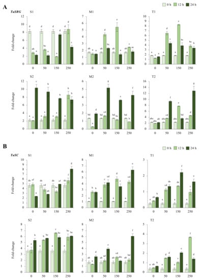 Plants 11 03401 g0a3