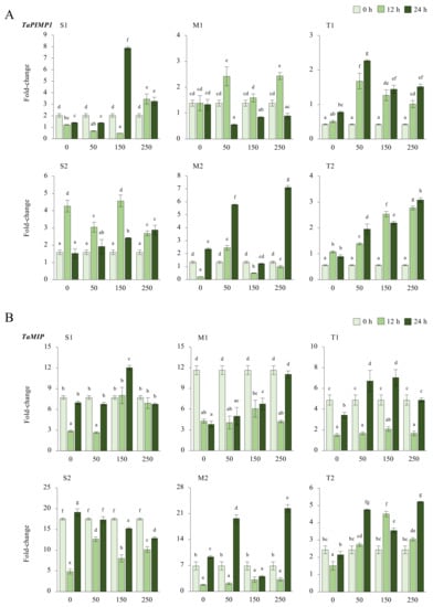 Plants 11 03401 g0a4