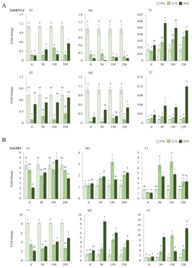 Plants 11 03401 g0a5