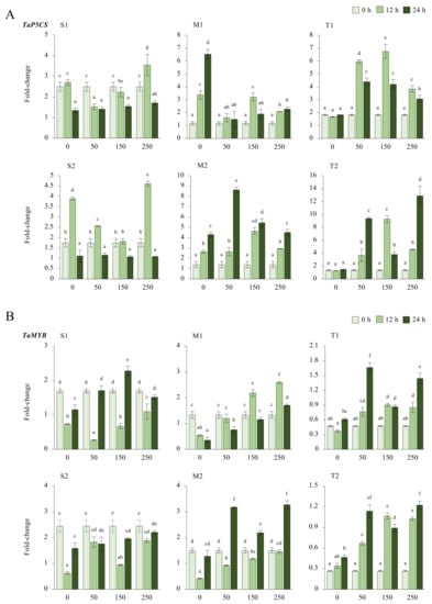 Plants 11 03401 g0a6