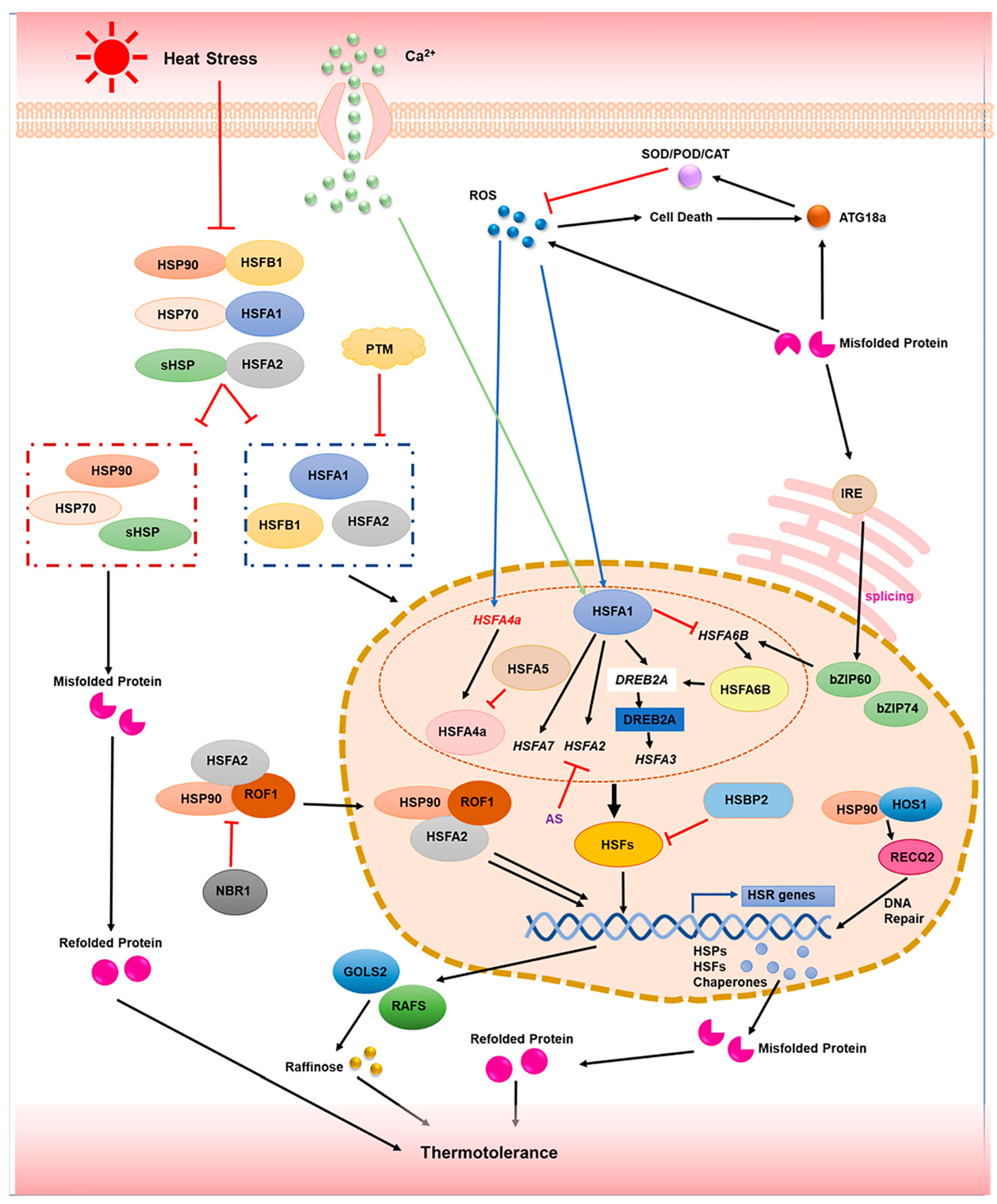 Plants 11 03410 g002 Plants 11 03410 g002