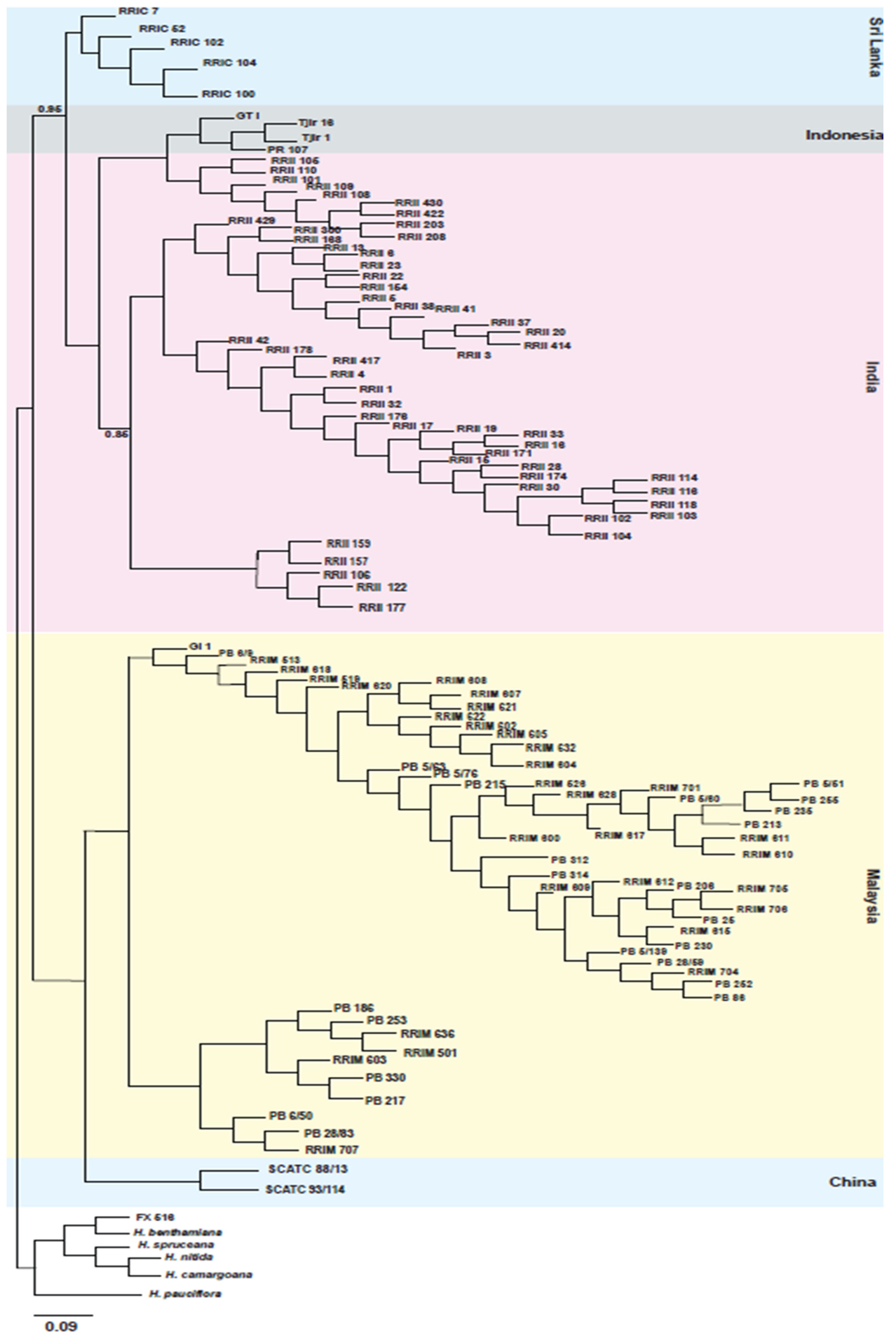 Plants 11 03418 g001
