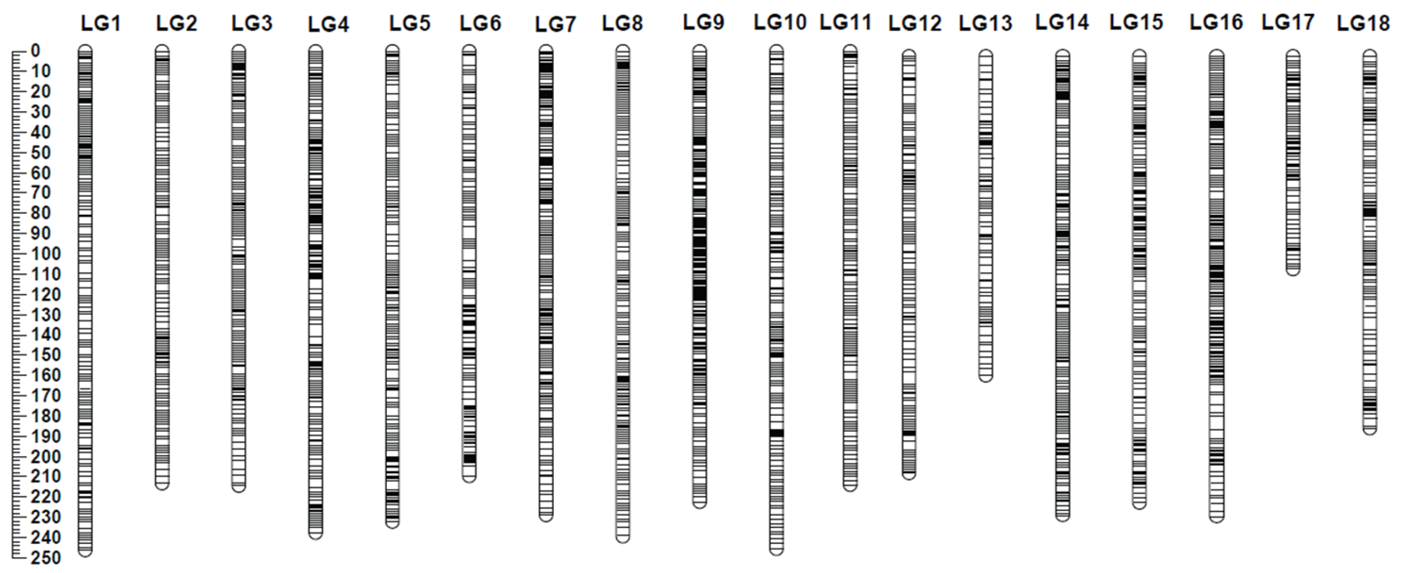 Plants 11 03418 g002