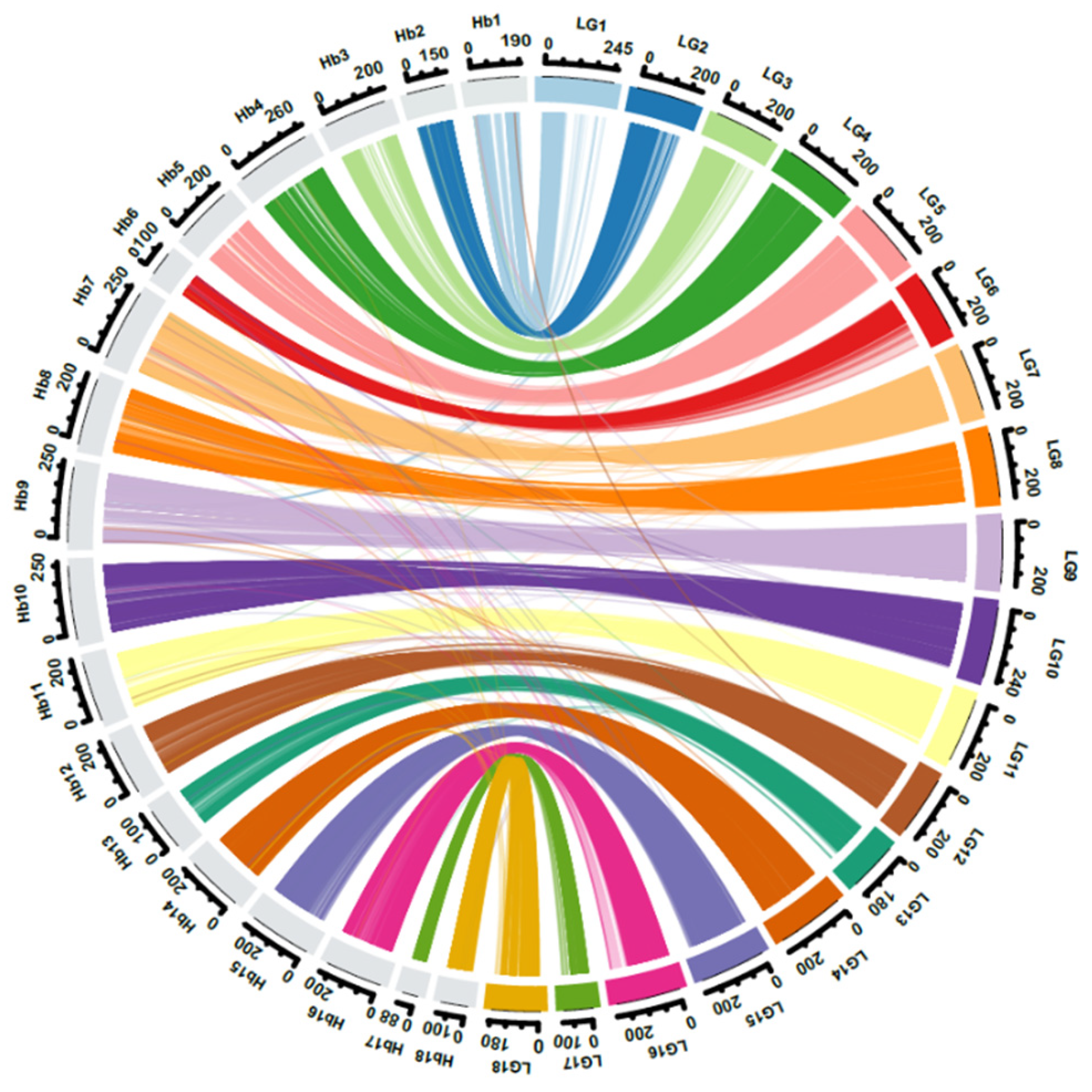 Plants 11 03418 g003
